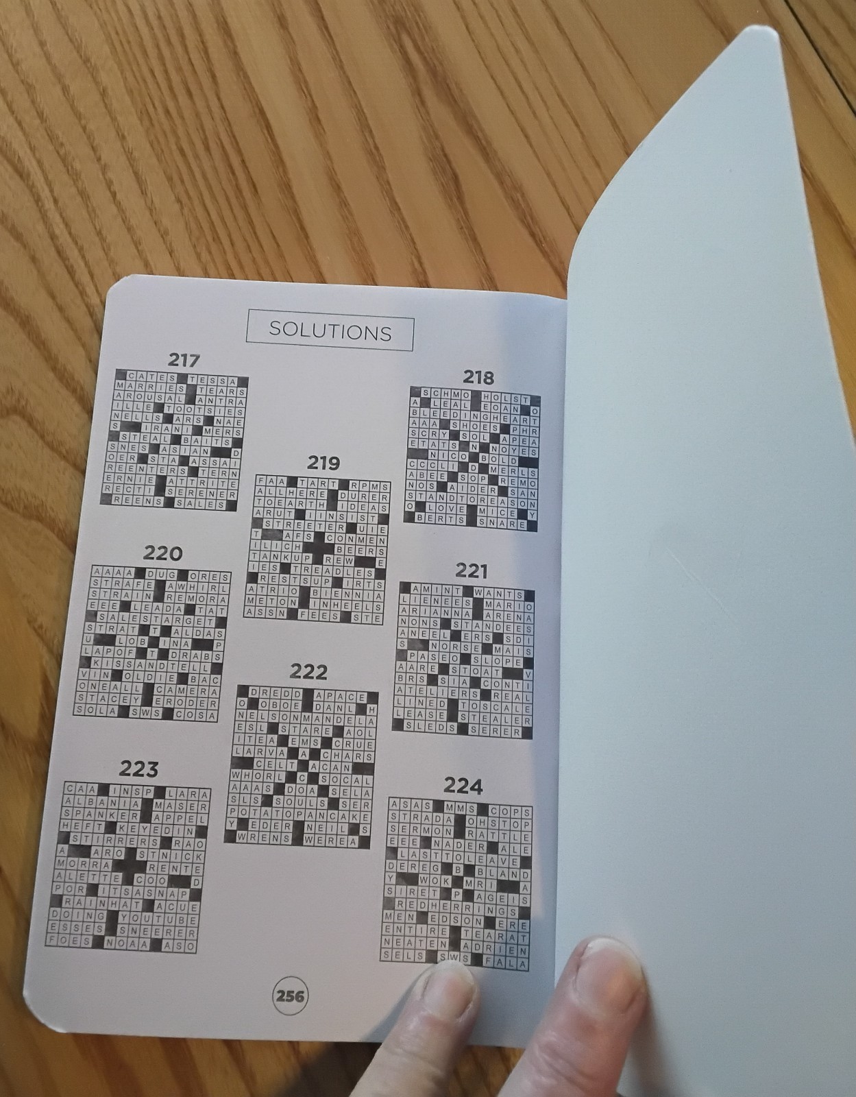 Crossword Puzzle Book Vision St. Publishing LLC 5×7