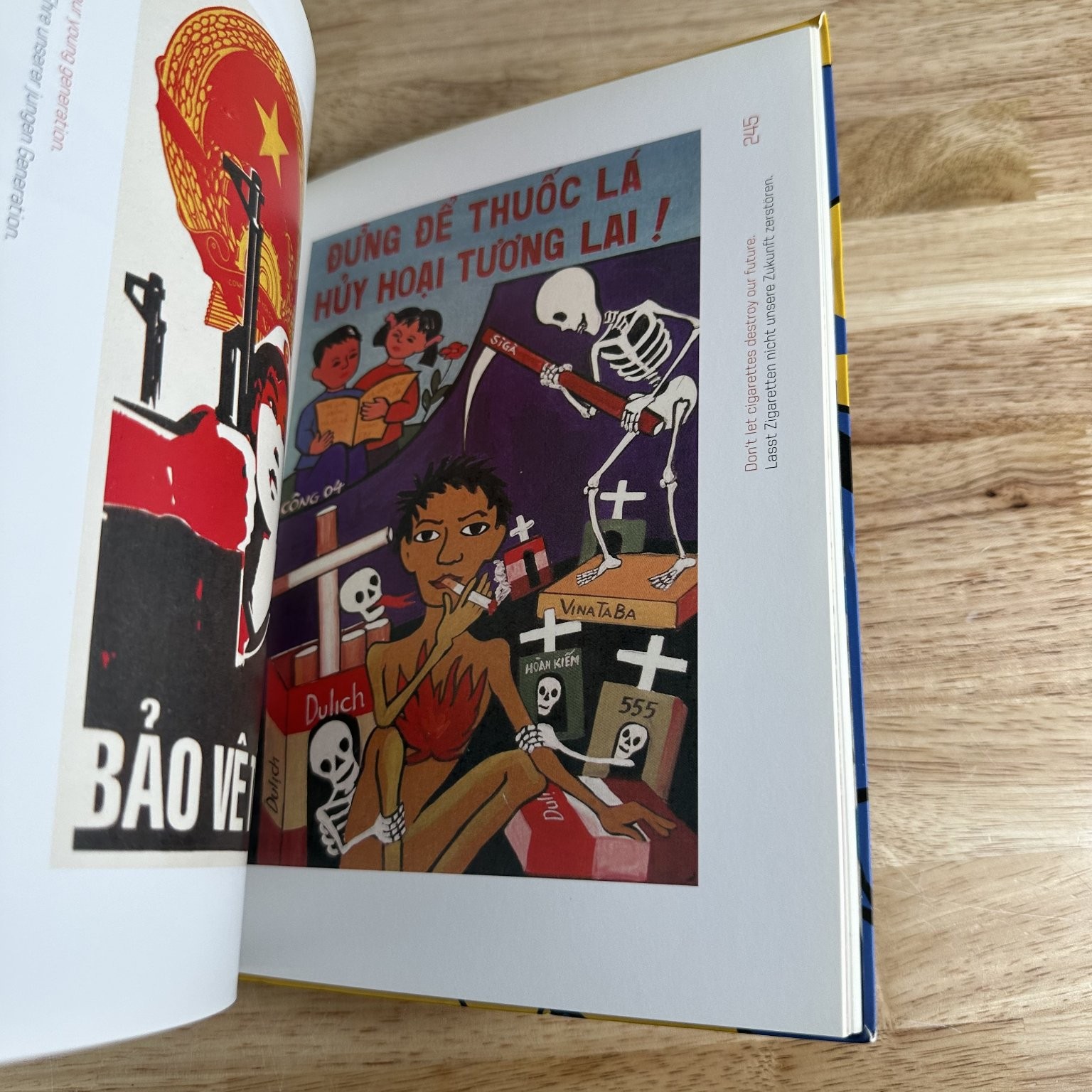 Vietnam Posters Sherry Buchanan 2009 Art Propaganda Graphic Design Prestel