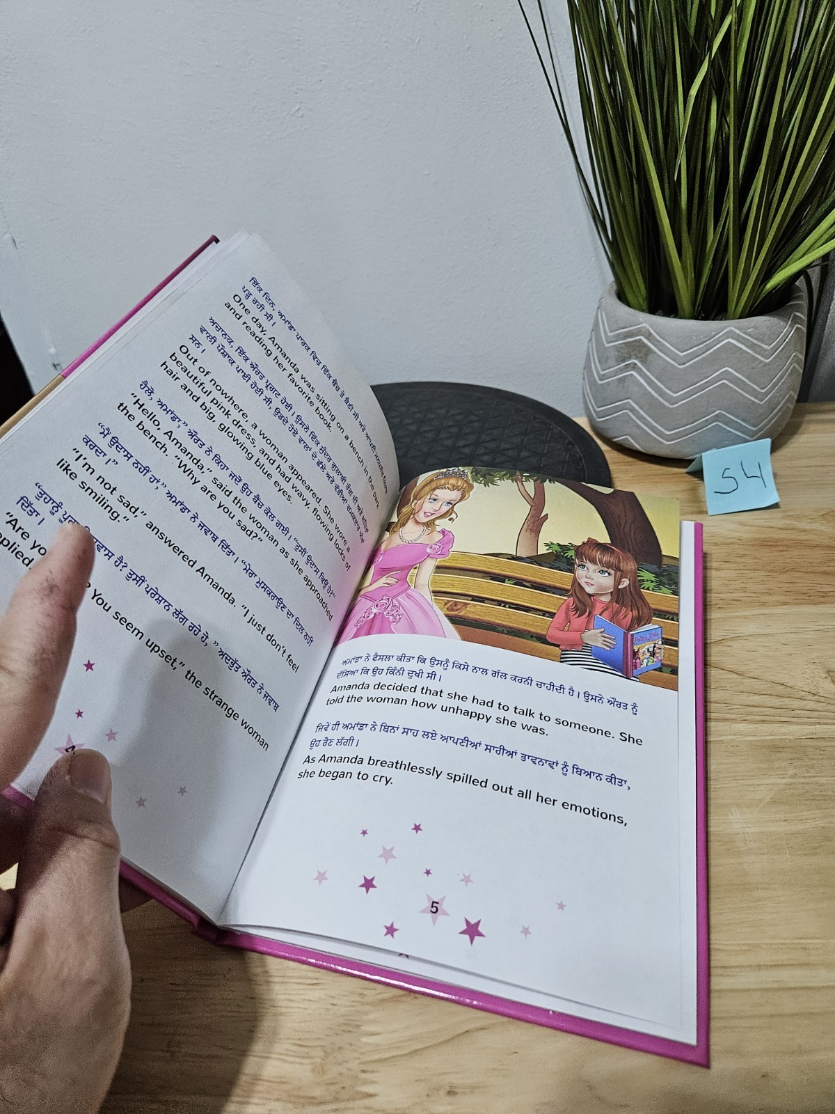 Amanda’s Dream (Punjabi English Bilingual Kids‘ Book – Gurmukhi) Hardcover