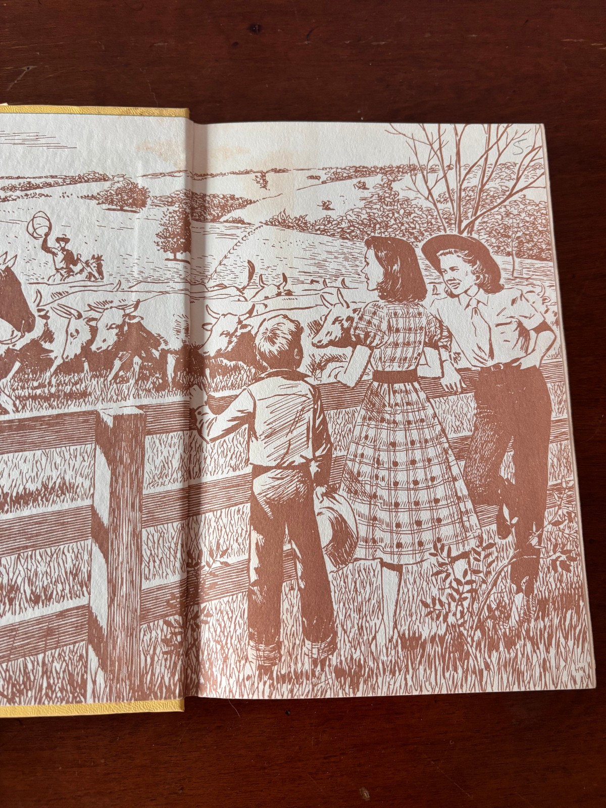 Vintage Hardcover Novel Lot 5 Books 1950s-60s Dust Jackets Pearl Buck Niven Busc