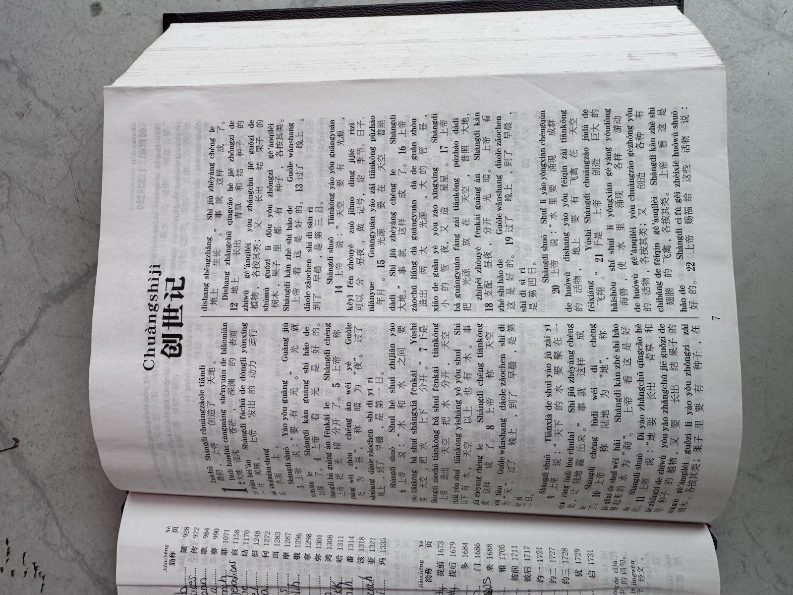 New World Translation Holy Scriptures Chinese Simplified (PINYIN) Watch Tower