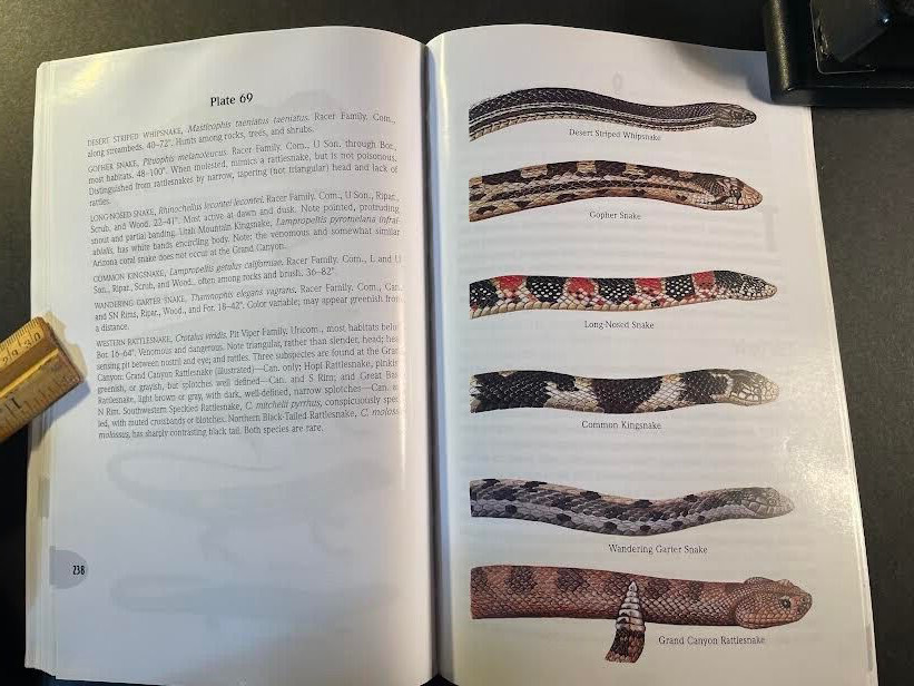 A Field Guide to the Grand Canyon by Whitney. 2nd edition. 269 pages. good cond.