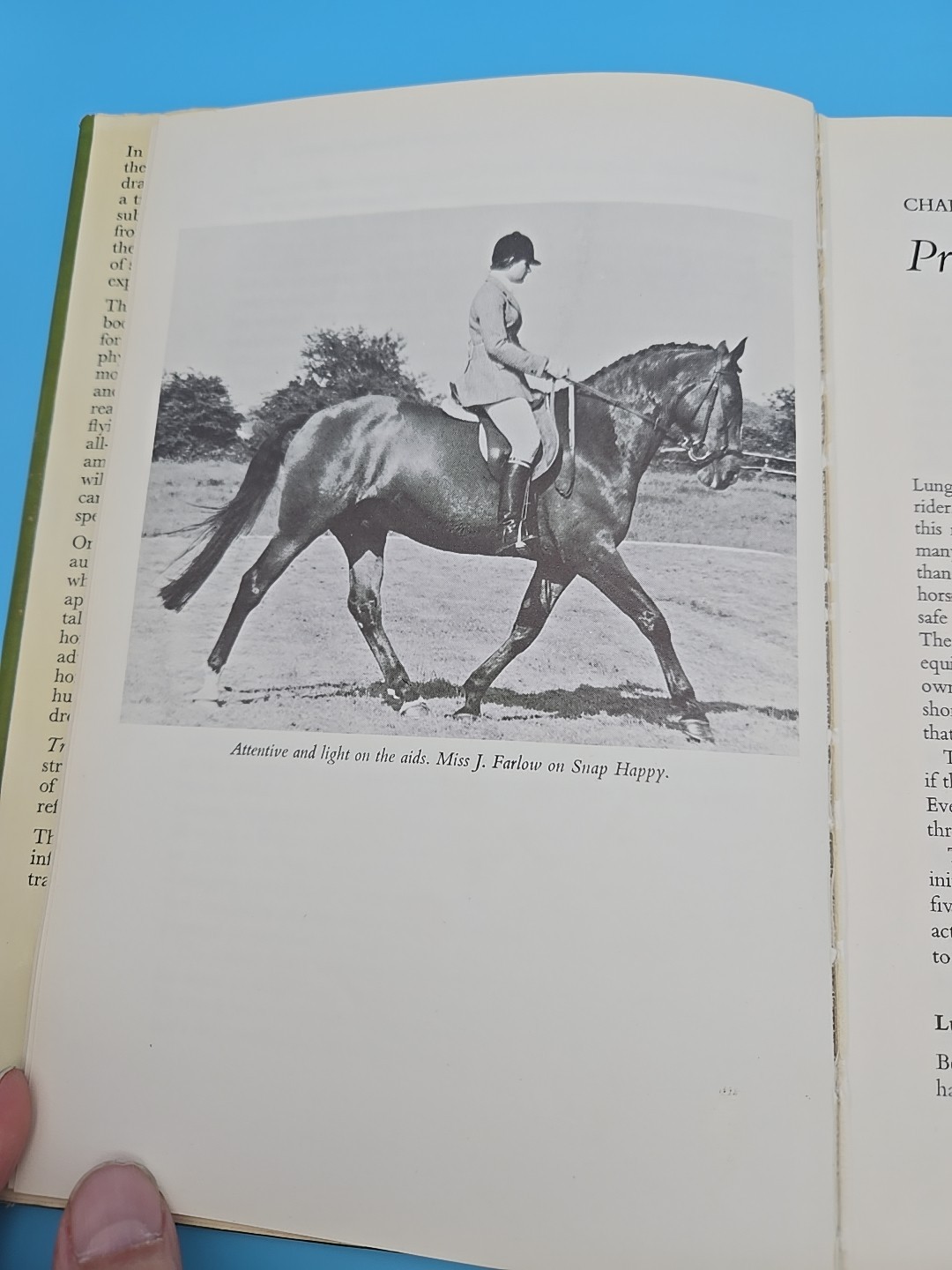 Training the Young Horse The First Two Years 1979 Anthony Crossley Equestrian