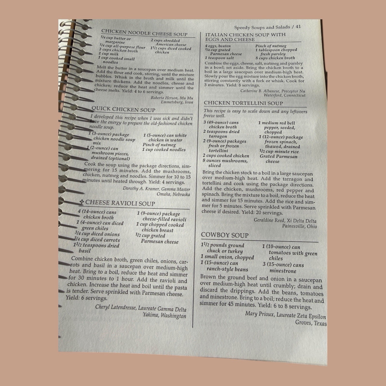 ✨VTG 1997 Beta Sigma Phi Fast Feasts Cookbook Spiral Bound 221 Pages✨