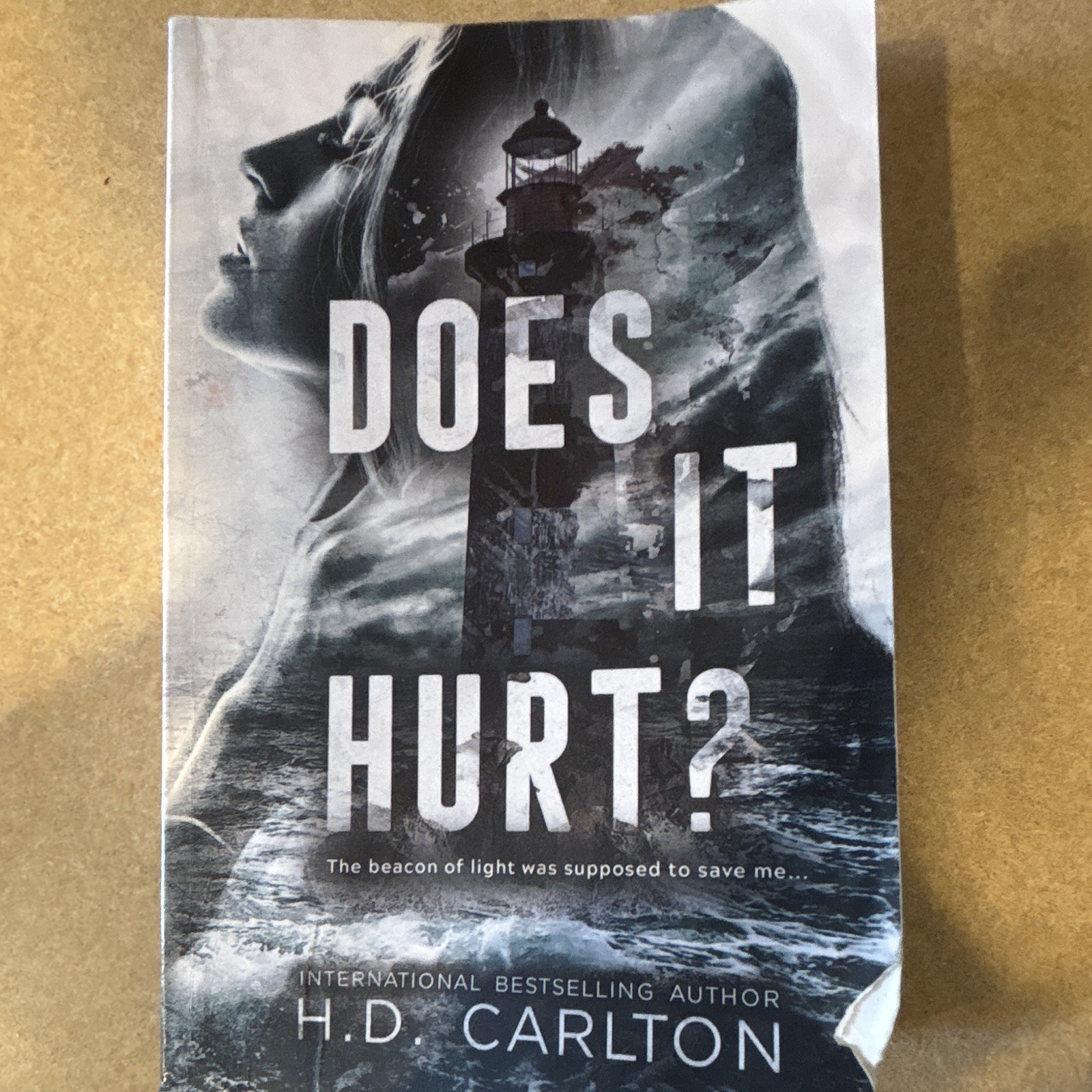 H. D. Carlton Does It Hurt? Paperback Novel, English Adult Fiction Romance
