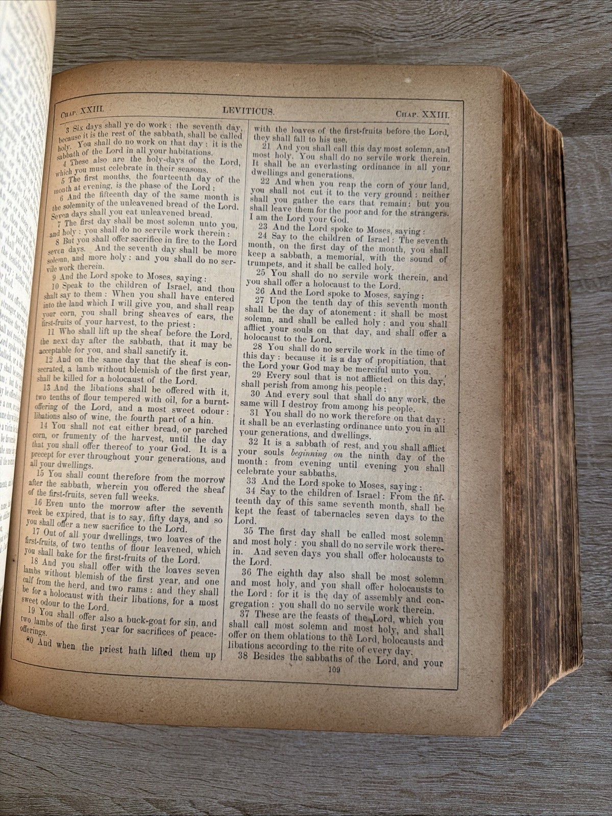 Antique 1800s The Holy Bible Revised with Annotations by the Rev. R. Challoner