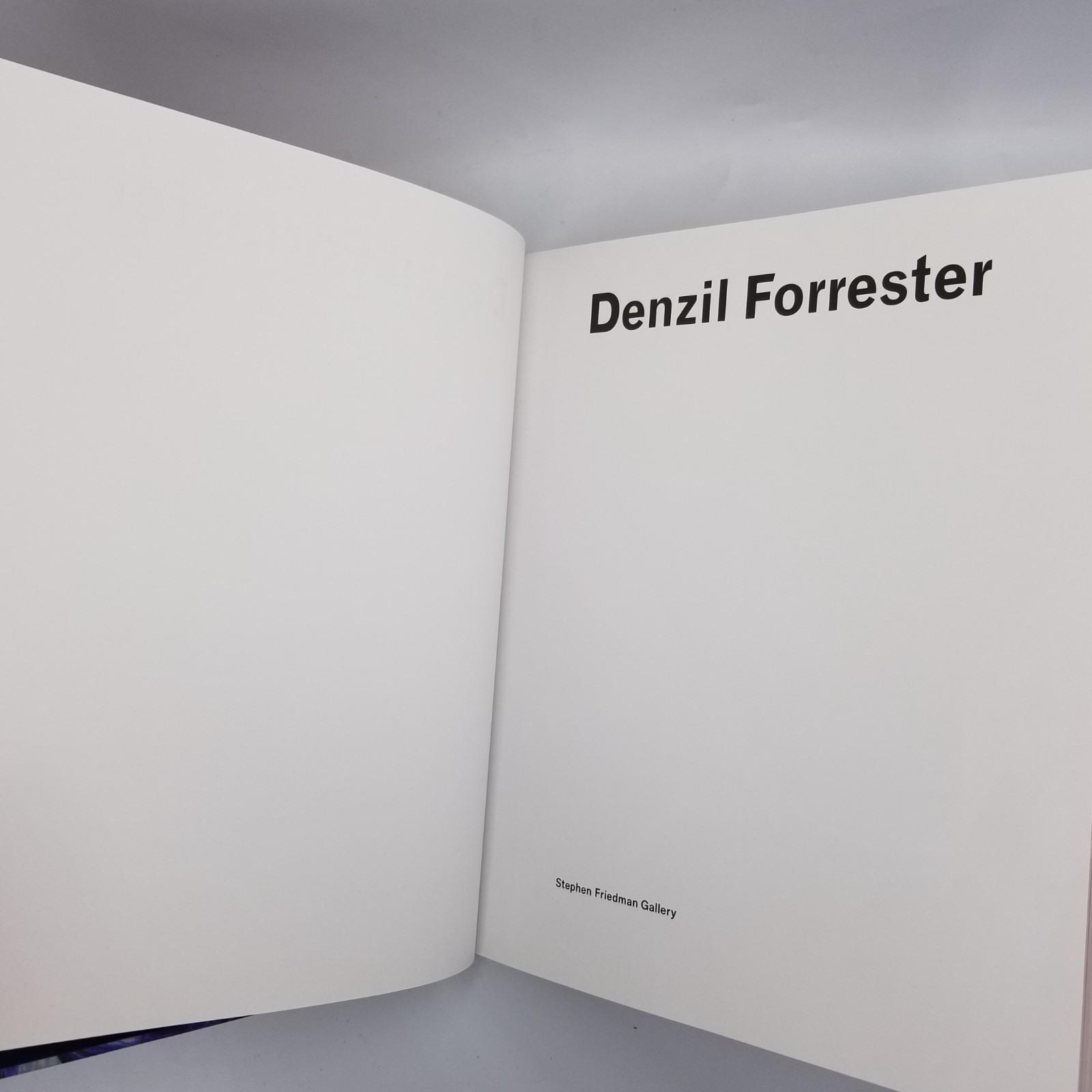 Denzil Forrester A Survey – 2019 Stephen Friedman Gallery Catalog HC