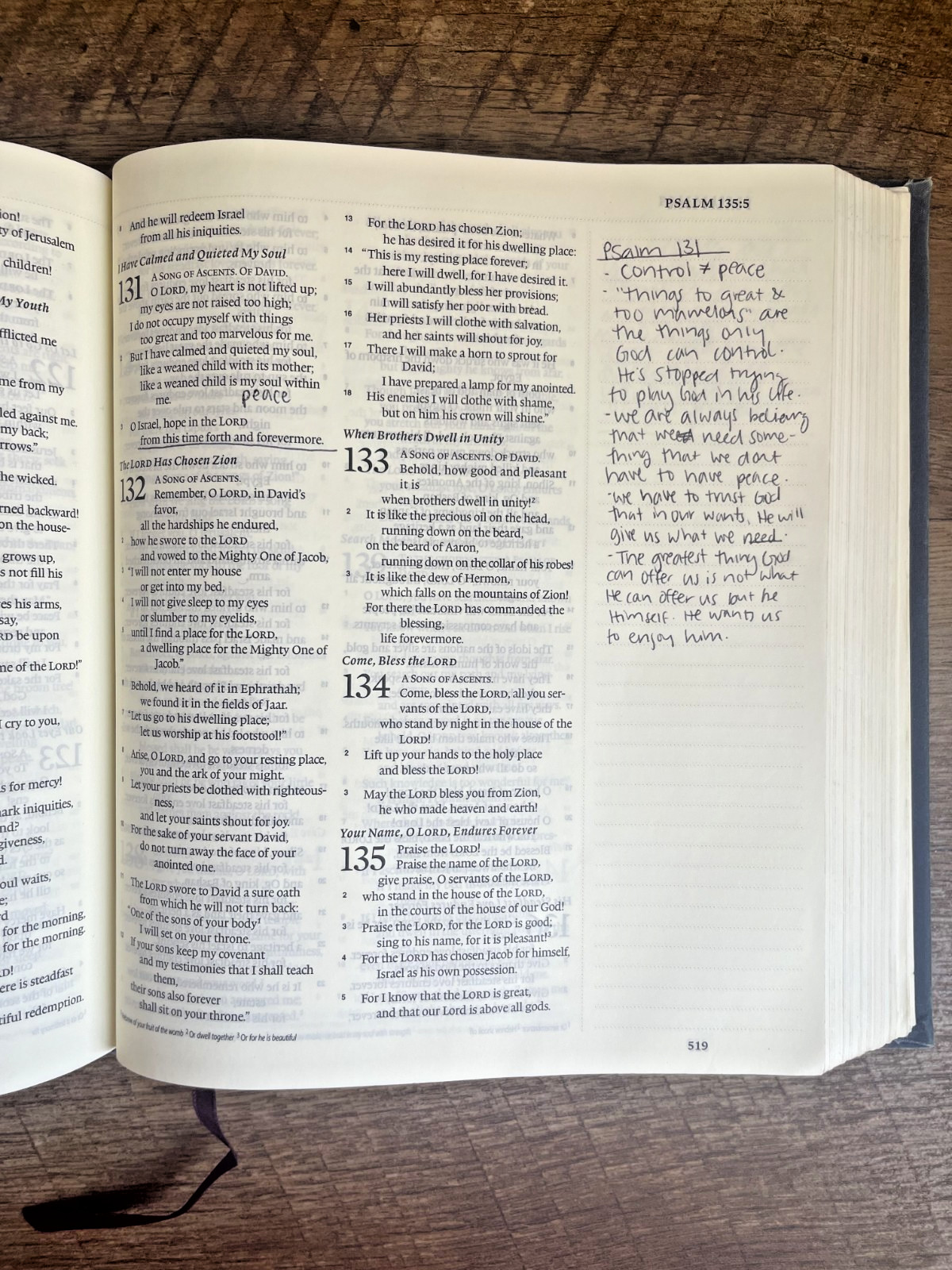 2016 HOLY BIBLE, Juornaling Bible, ESV, Crossway, Blue Flora Cloth, GOOD