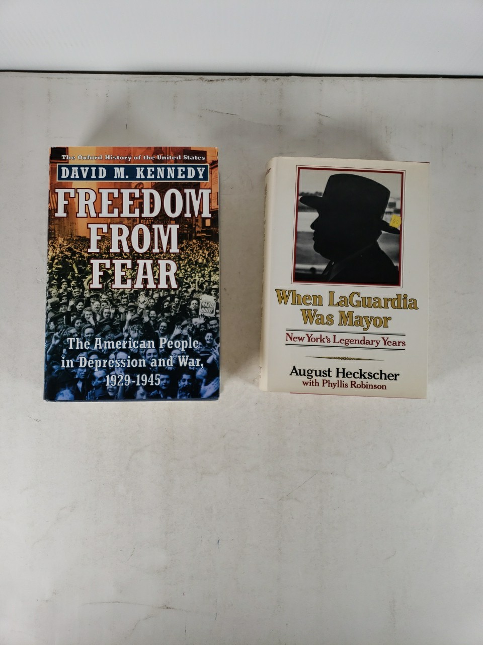 United States History 1920s through 1940s (6 Book Lot) Depression, FDR, New York