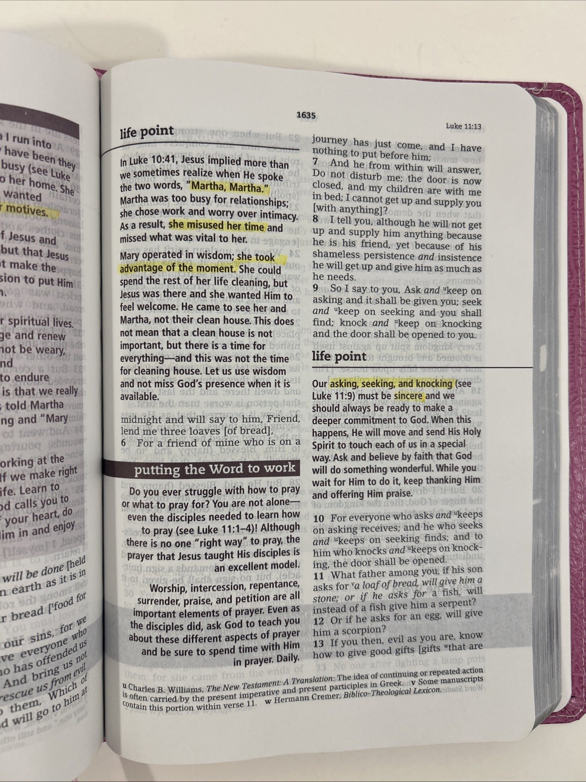 The Everyday Life Bible Fashion Edition Pink Soft Leather Cover 2009 *READ, SEE*