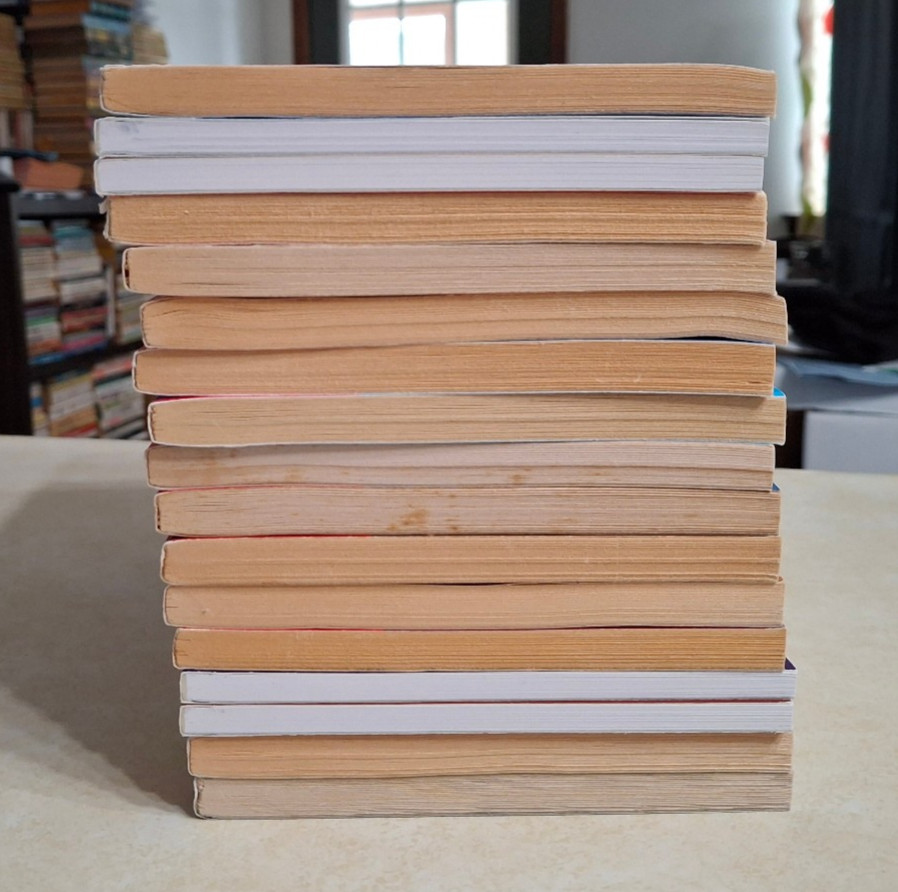 Goosebumps Books Lot of 17 R.L. Stine Mostly Vintage 1990s Paperbacks More Tales