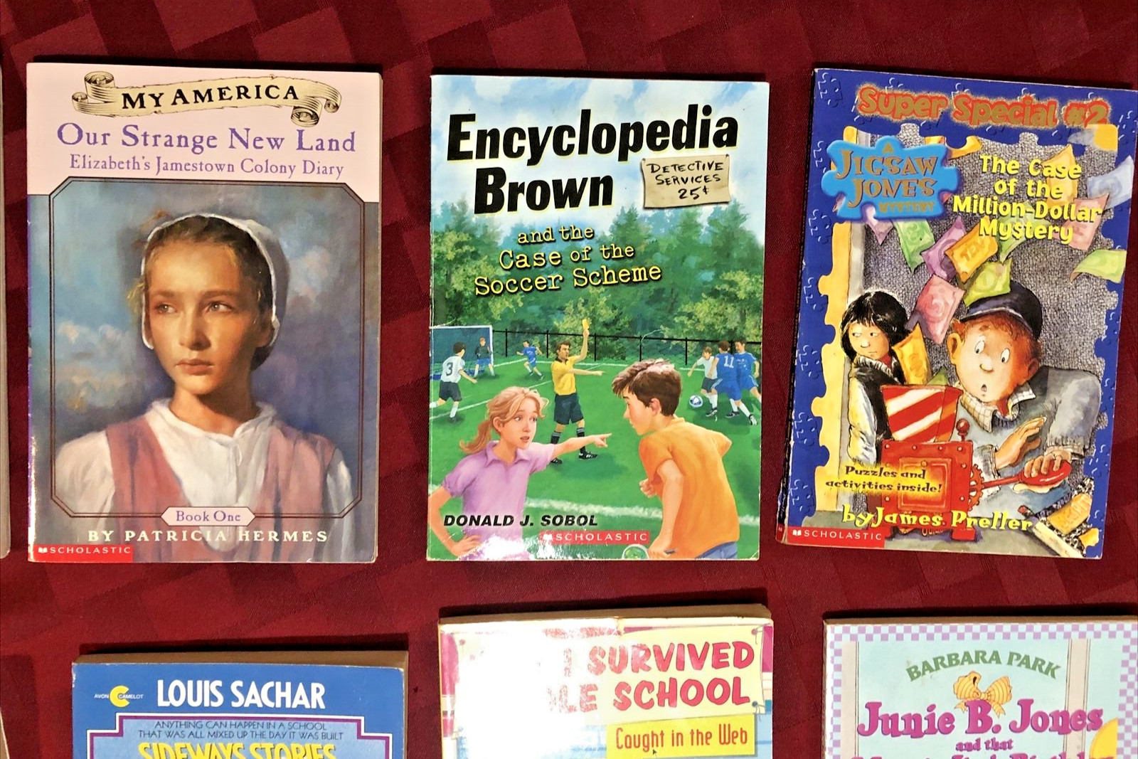 Scholastic Lot of 10 Beginner Chapter Books for kids Package Combo Deal