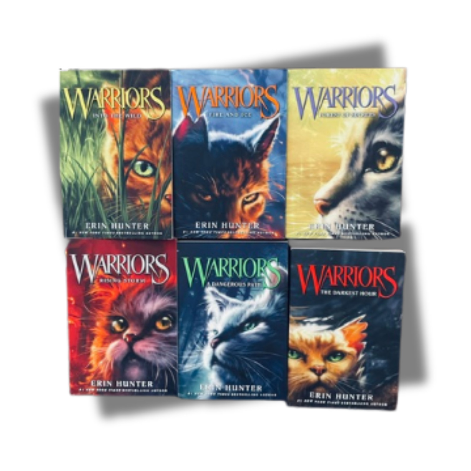 WARRIORS The Prophecies Begin | Complete 6 Book Set | Erin Hunter Fantasy Series