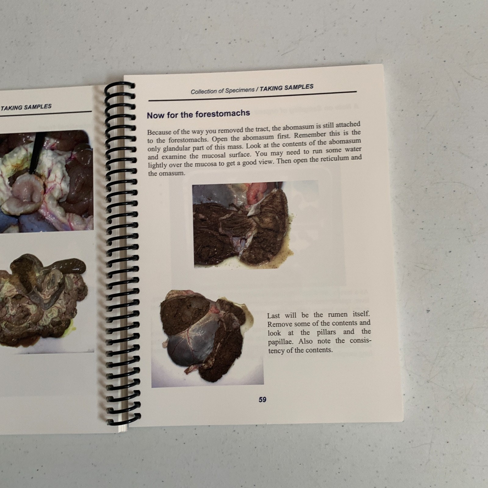 A Field Manual For Collection Of Speciments To Enhance Diagnosis Of Animal Disea