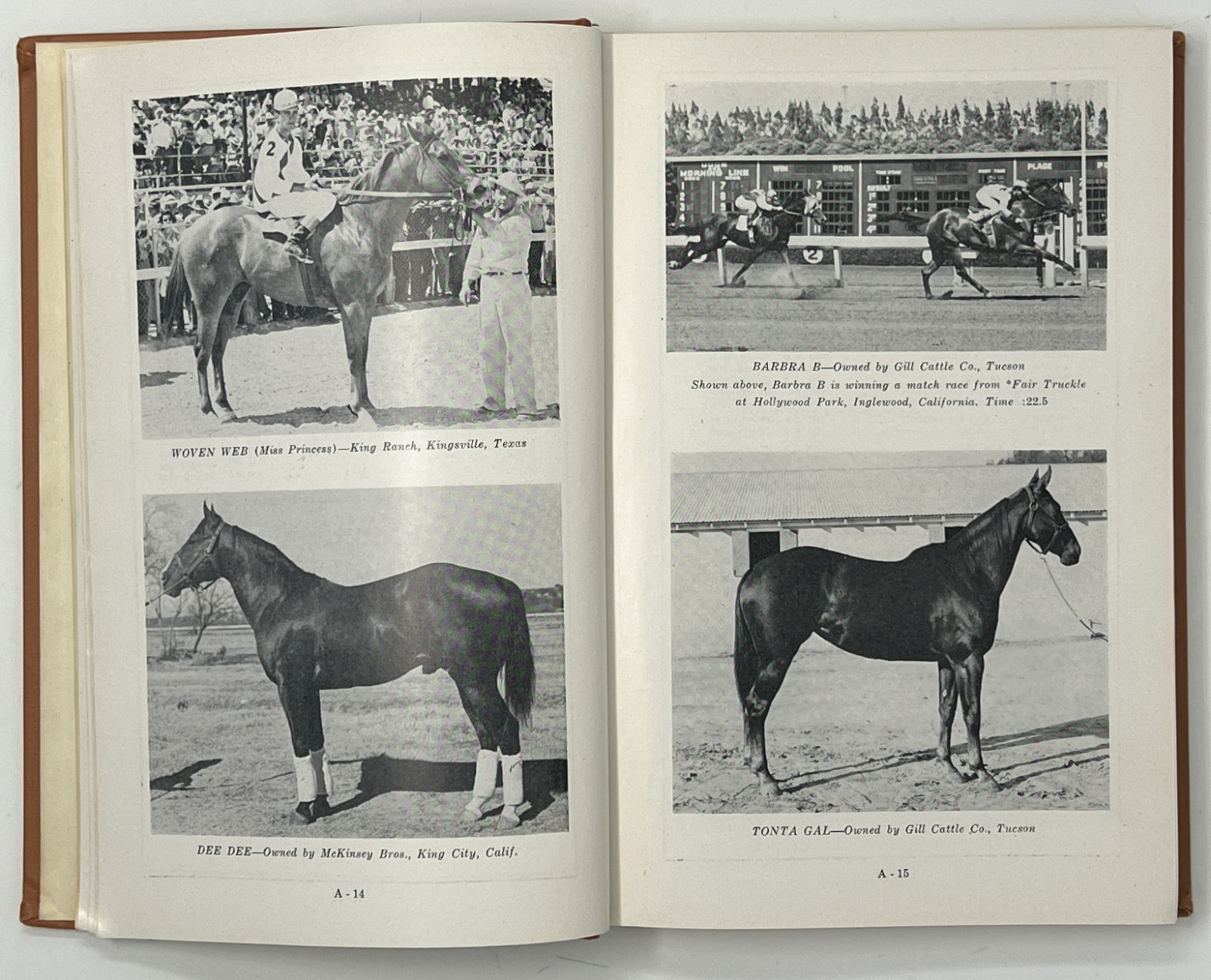 EQUESTRIAN / HORSES: N.Q.H.B.A. Permanent Stud Book: No. 1 & 2 – 1947/1948 HCs