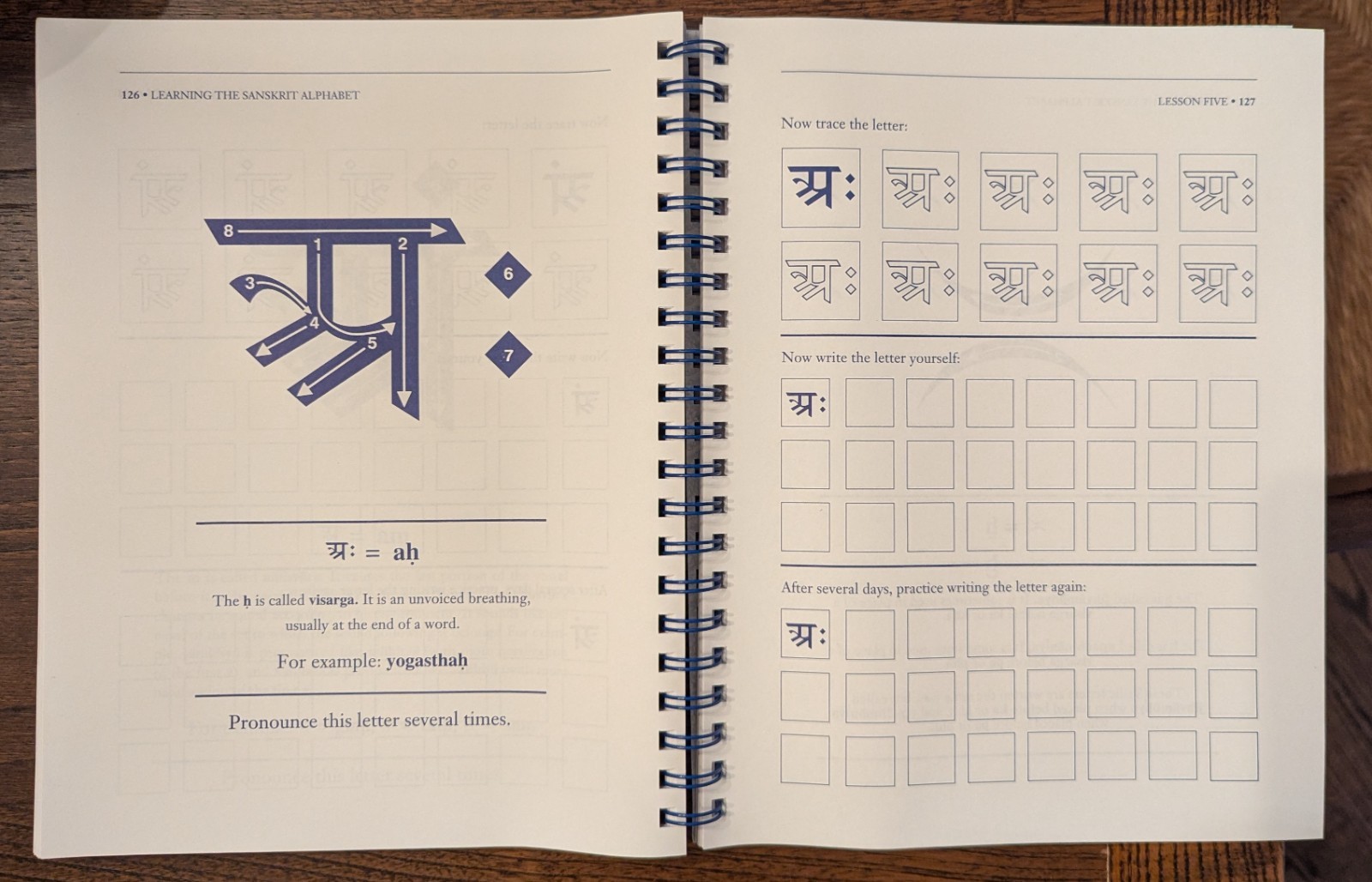 Learning the Sanskrit Alphabet by Thomas Egenes, Language of Nature Series