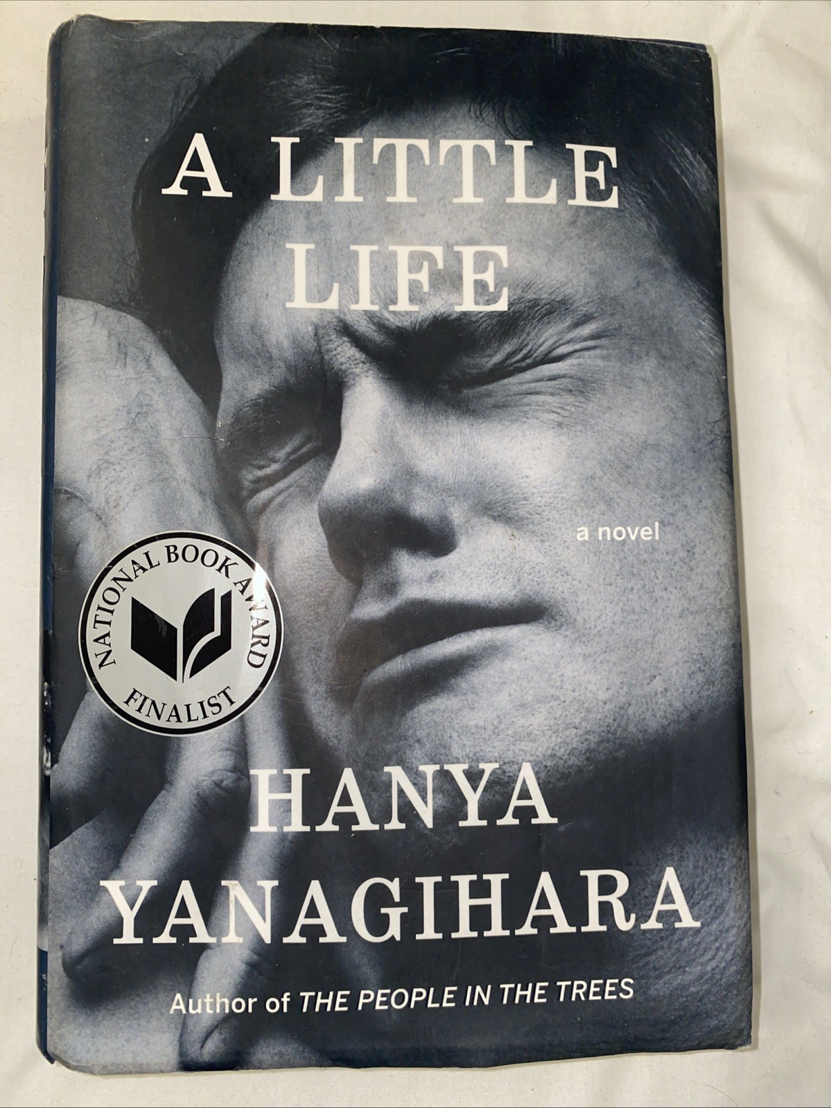 A Little Life: A Novel – Hardcover By Yanagihara, Hanya – GOOD