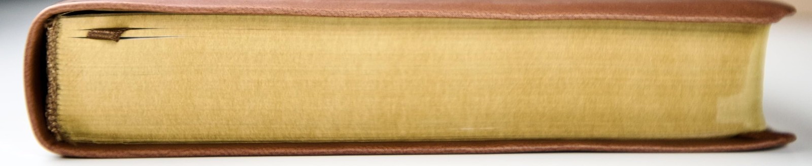 NKJV GIANT PRINT Holy Bible Indexed Edition Red Letter Brown Leathersoft NEW