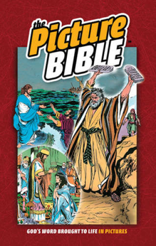 The Picture Bible – Hardcover By Hoth, Iva – GOOD