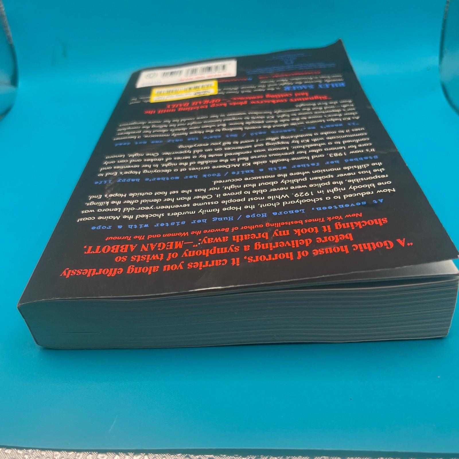 The Only One Left: A Novel – paperback Sager, Riley