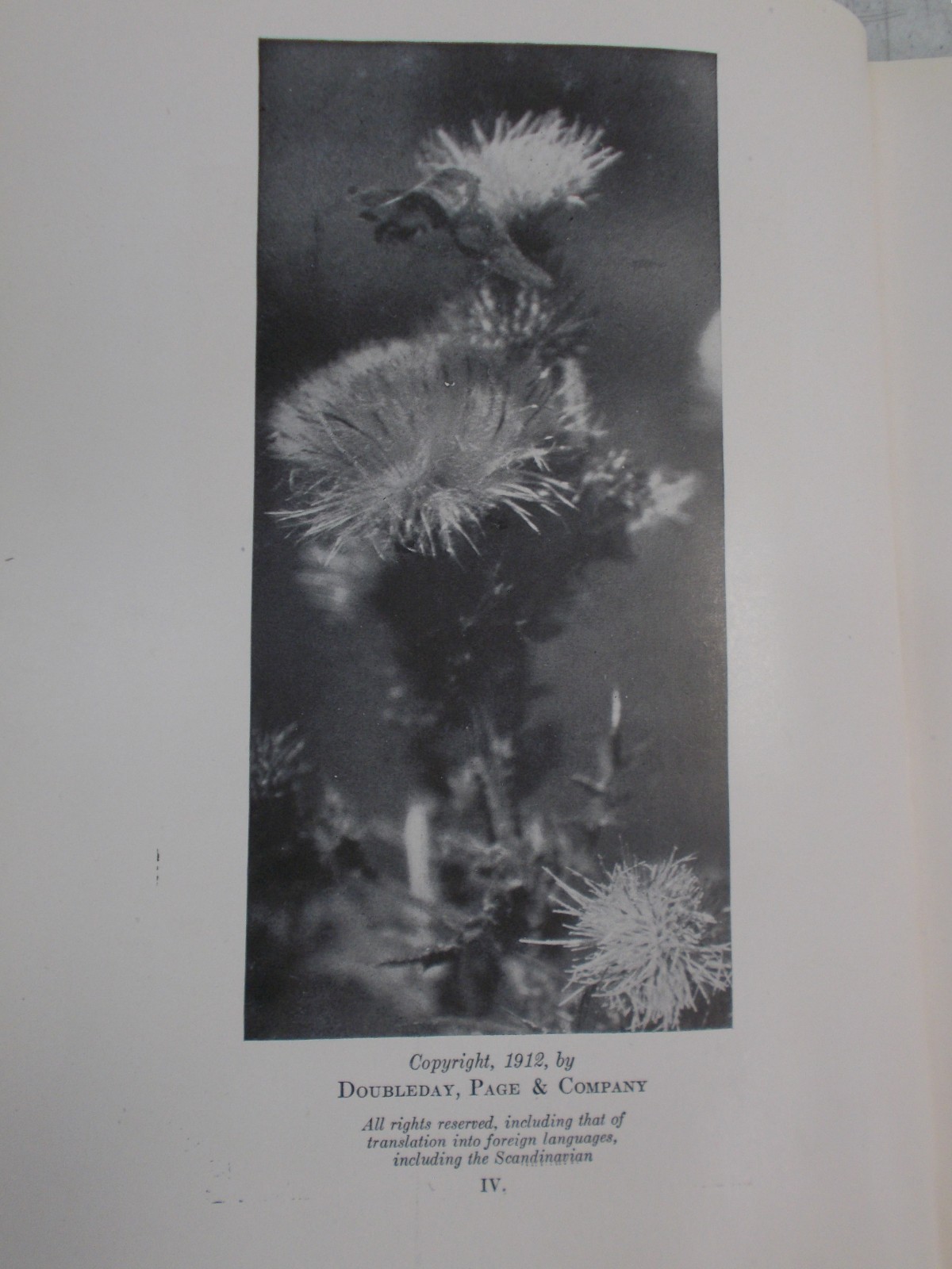 Antique-Moths of the Limberlost by Gene Stratton-Porter, 1921, VGC