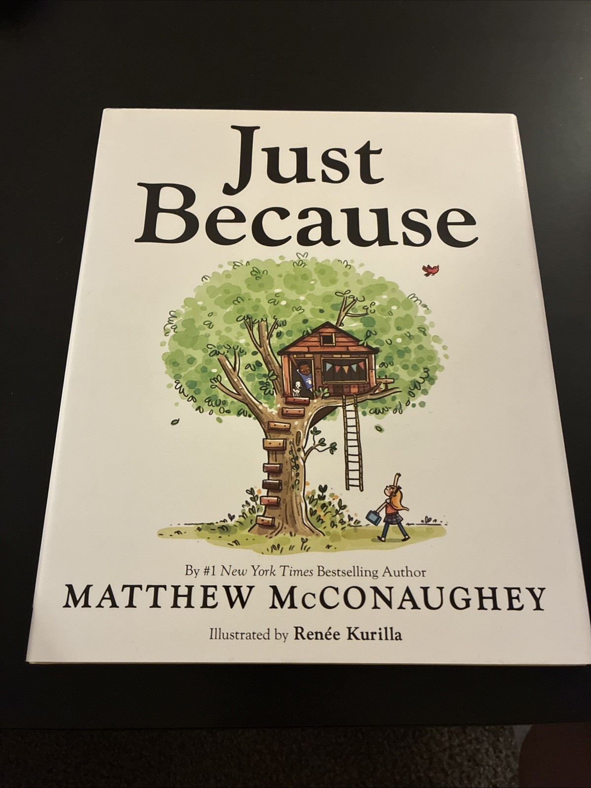 AUTOGRAPHED Matthew McConaughey SIGNED Book Just Because AUTOGRAPH