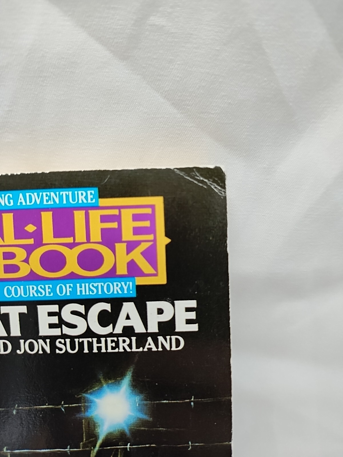 A Real Life Gamebook The Great Escape Choose Your Own Adventure Book