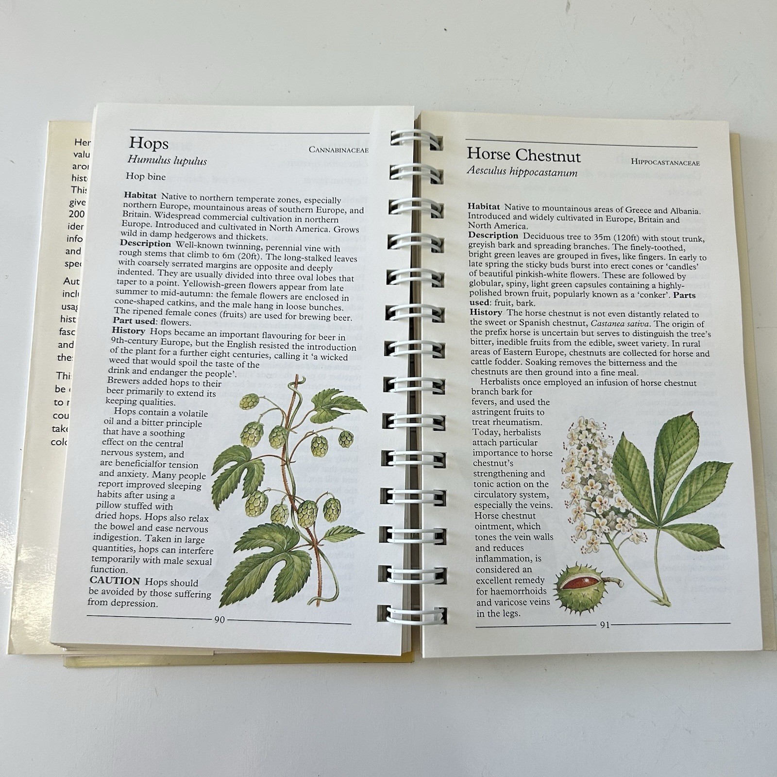 American Nature Guides Herbs Pocket Guide 1992 Kruger Wholistic Medicine