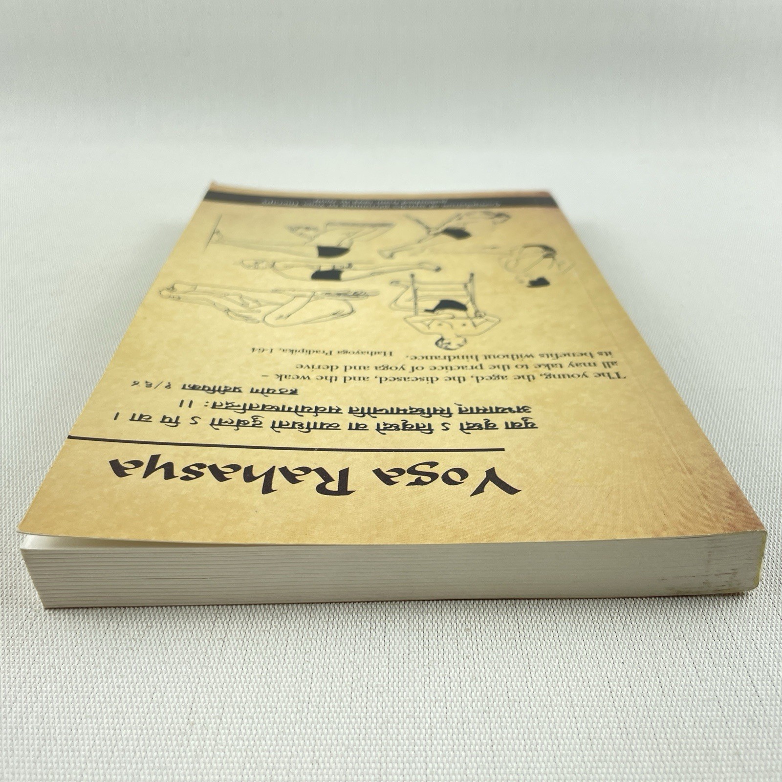 Yoga Rahasya Therapy Issue 1994-2009 Compilation BKS Iyengar Yoga PB Book