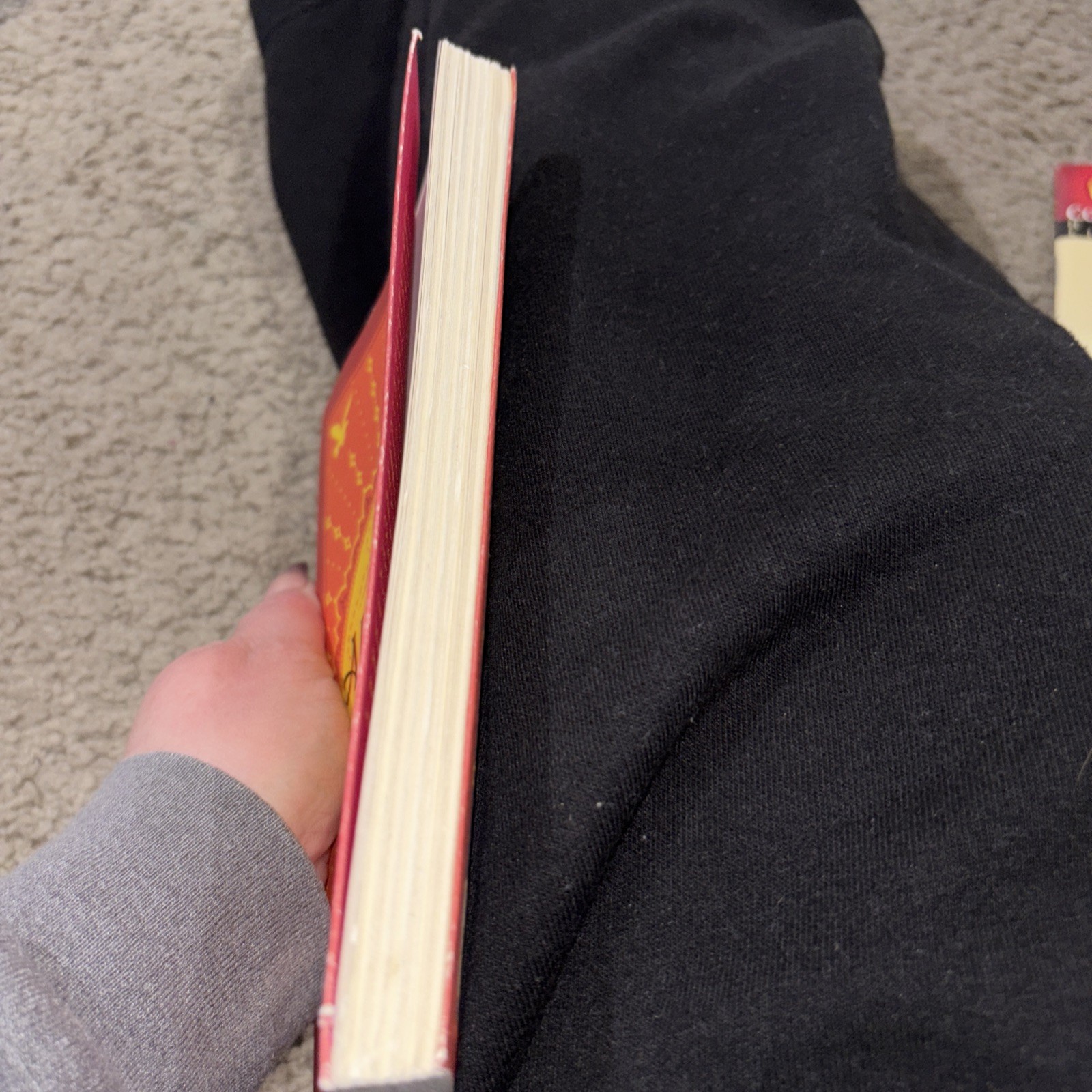 The Alchemist by Paulo Coelho (2014, Paperback)