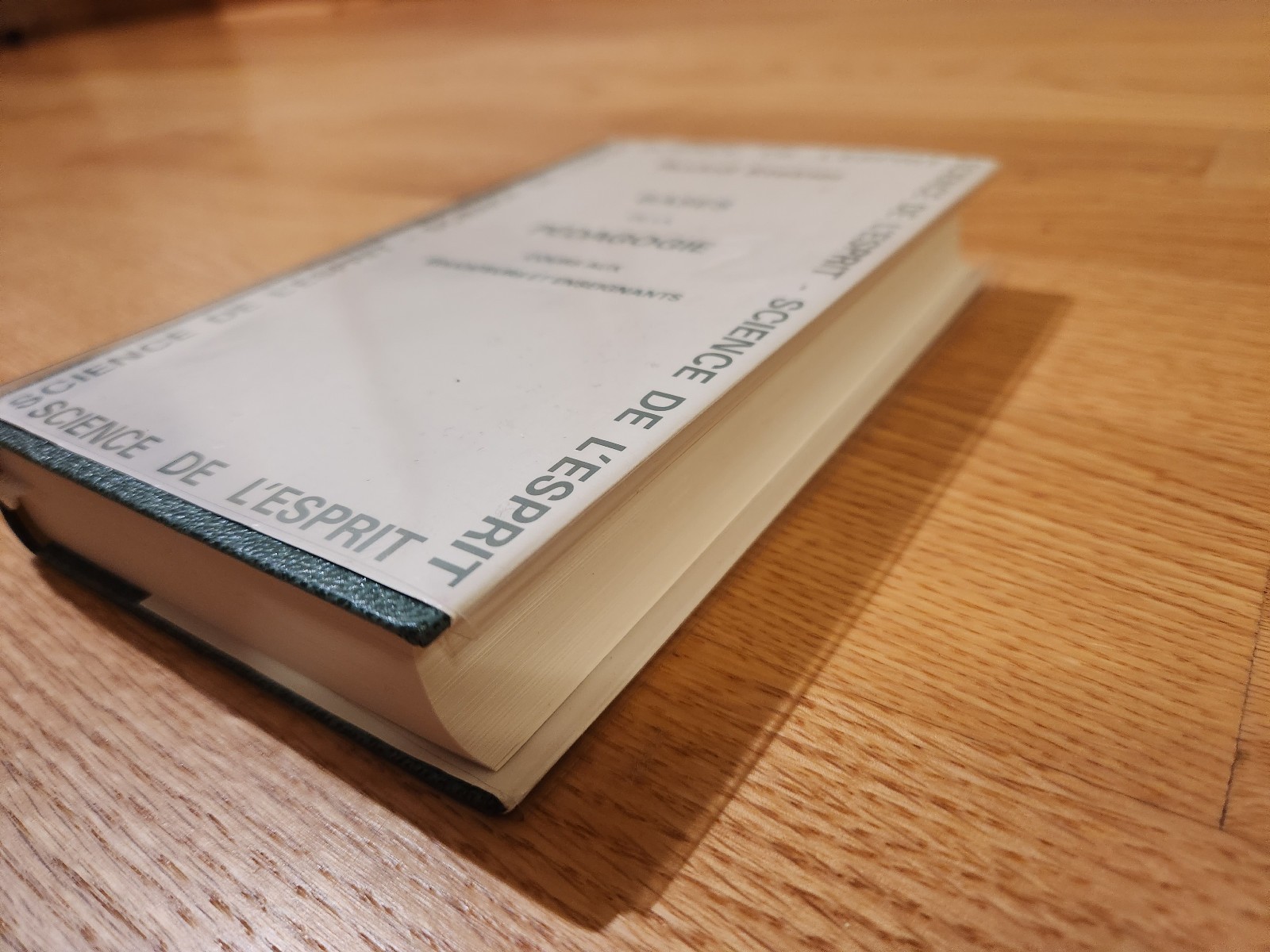 Bases de la Pédagogie (The Foundations of Pedagogy) Steiner 1988 Hardcover Rare