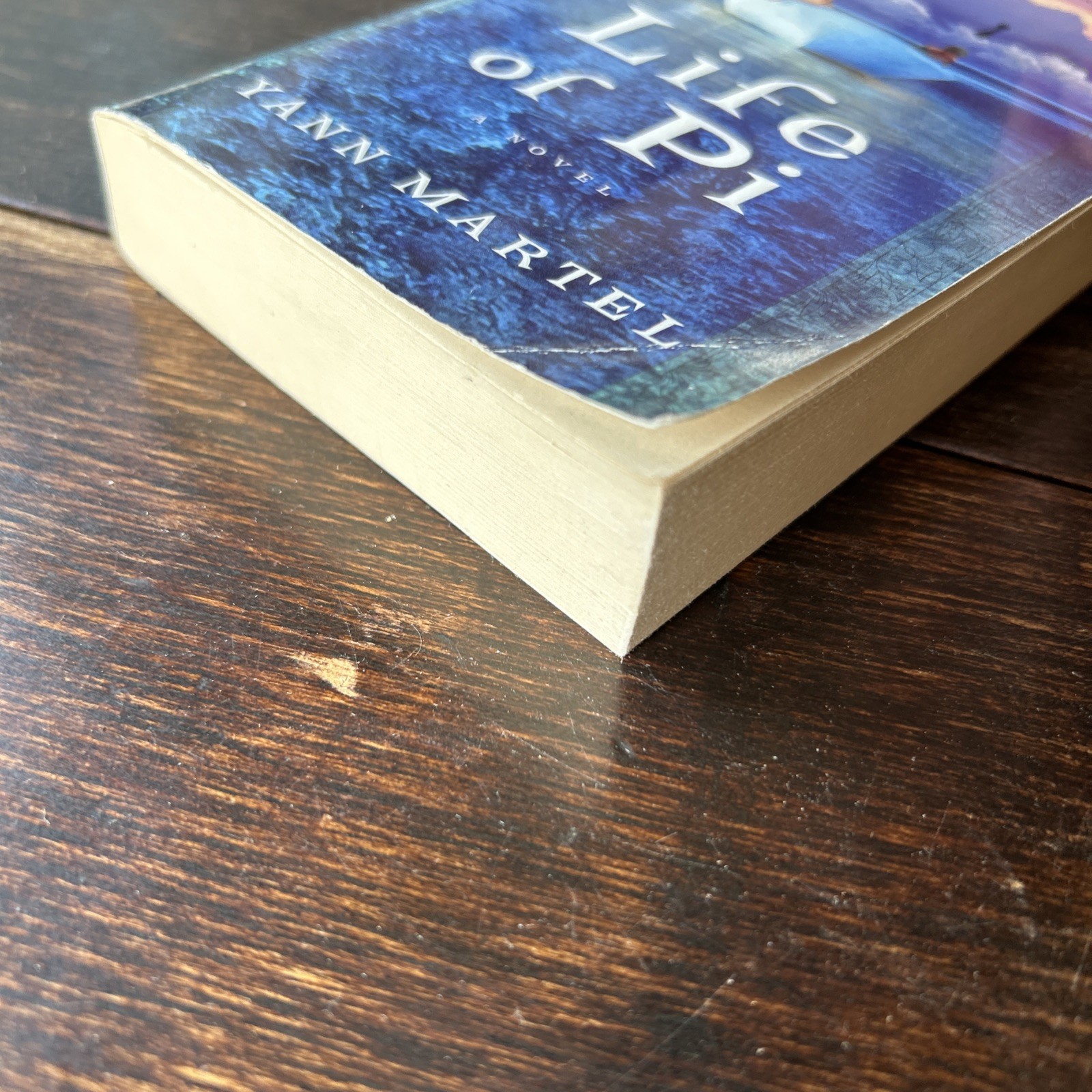 Life of Pi: A Novel [Paperback] Martel, Yann