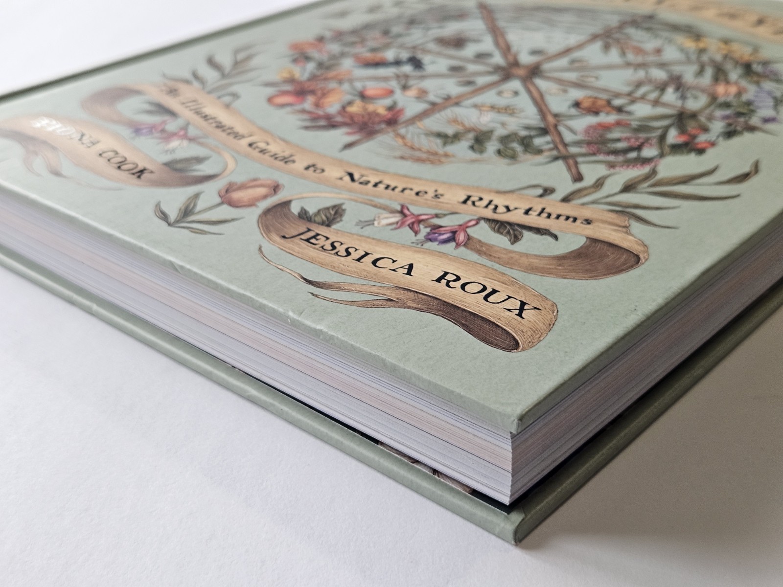The Wheel of the Year An Illustrated Guide to Nature’s Rhythms Hardcover VGC