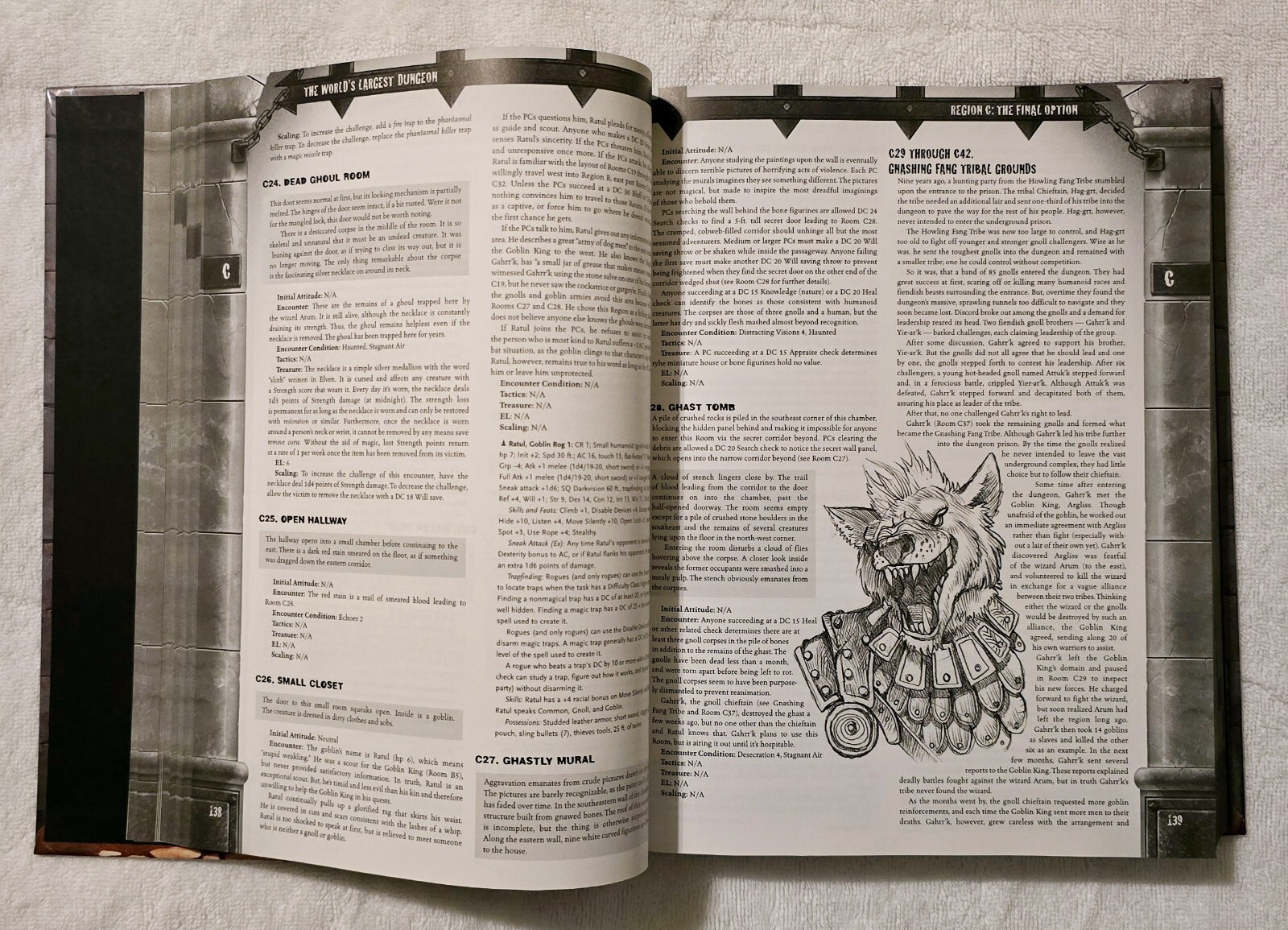 The World’s Largest Dungeon NO MAP 840 Pages NO MAP Jim Pinto Dungeons & Dragons