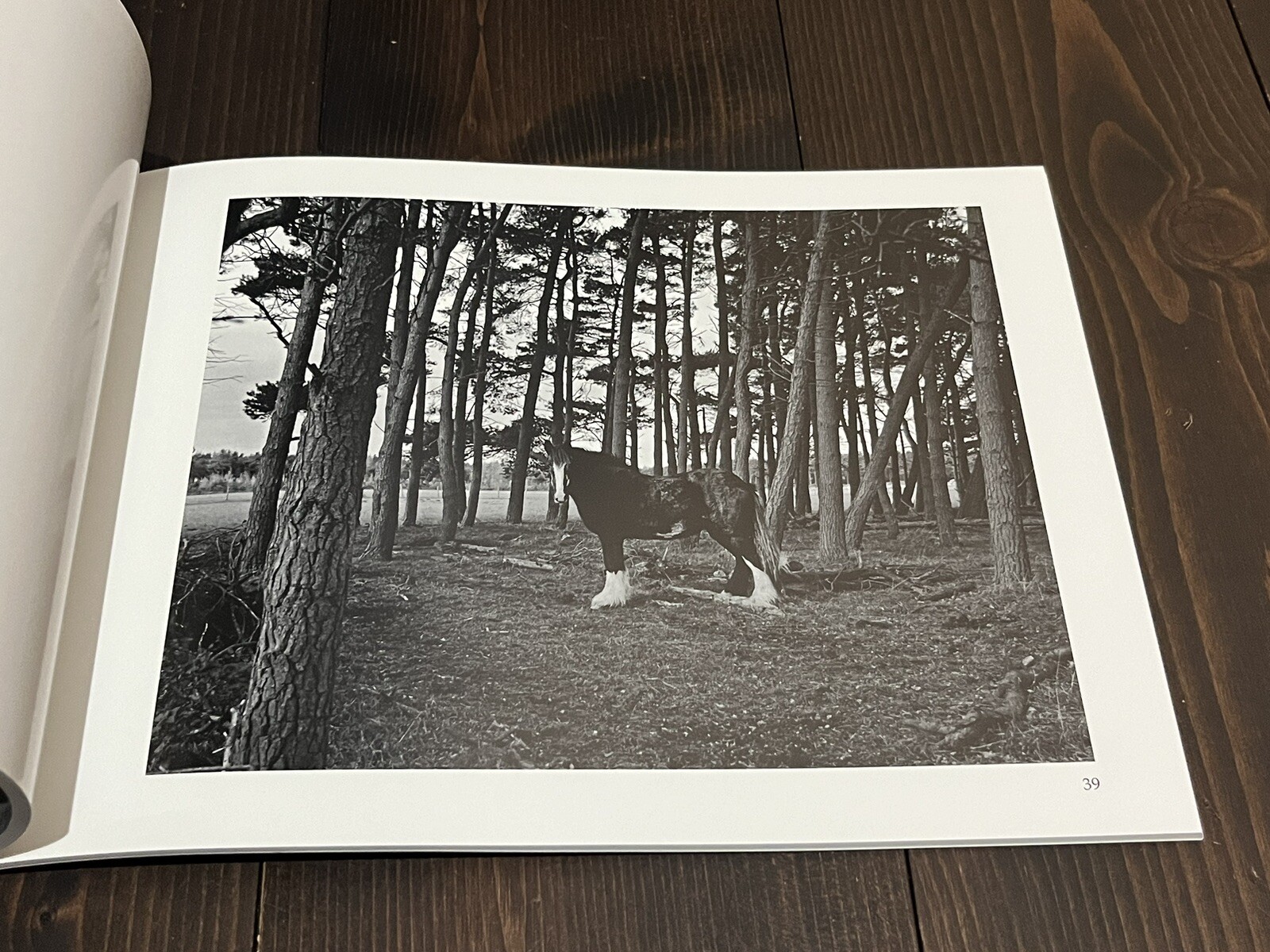 Masaoki Habano A Walk Through the North York Moors National Park PHOTO BOOK 2016