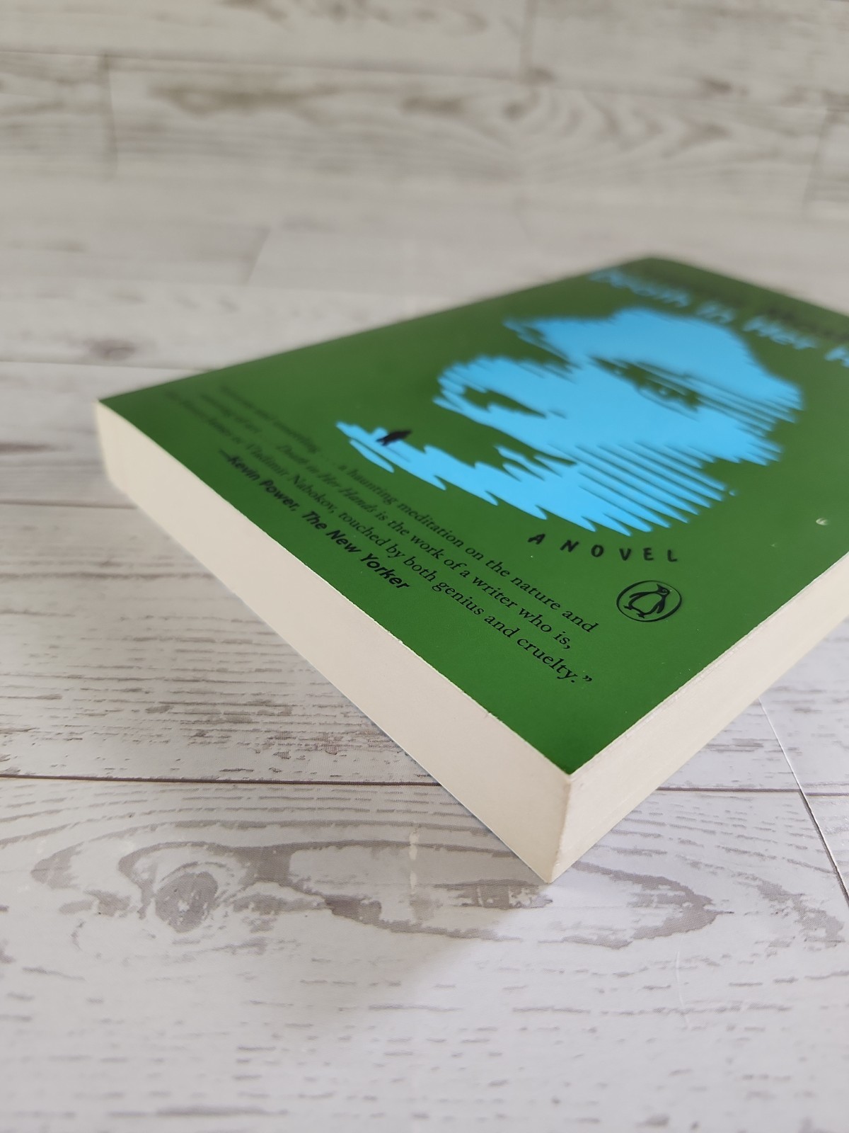 Death in Her Hands: A Novel Paperback By Moshfegh, Ottessa Very Good
