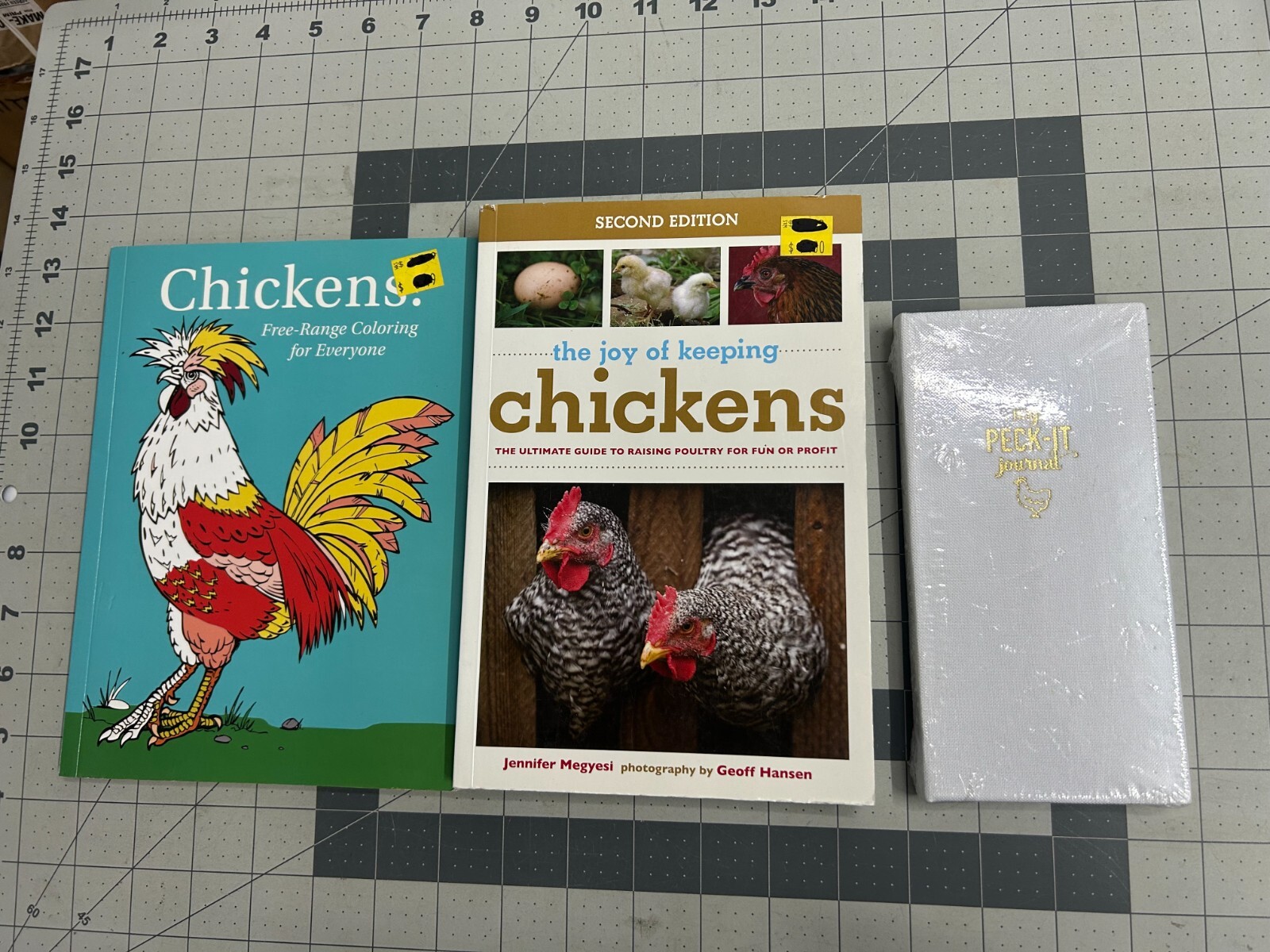 3-pack The Joy of Keeping Chickens Guide Jennifer Megyesi coloring book journal