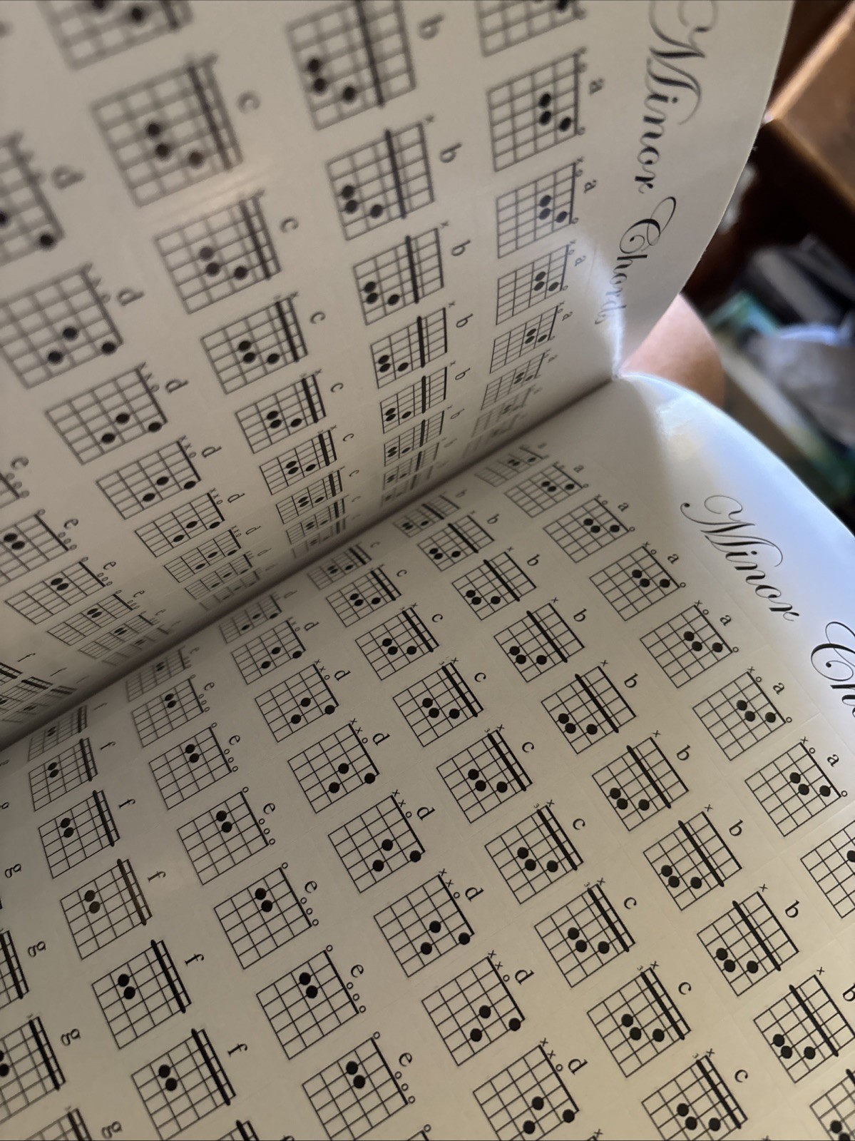 Coguzed 100 Pages Blank Sheet Music Notebook – 26X19cm Staff Paper for Musicians