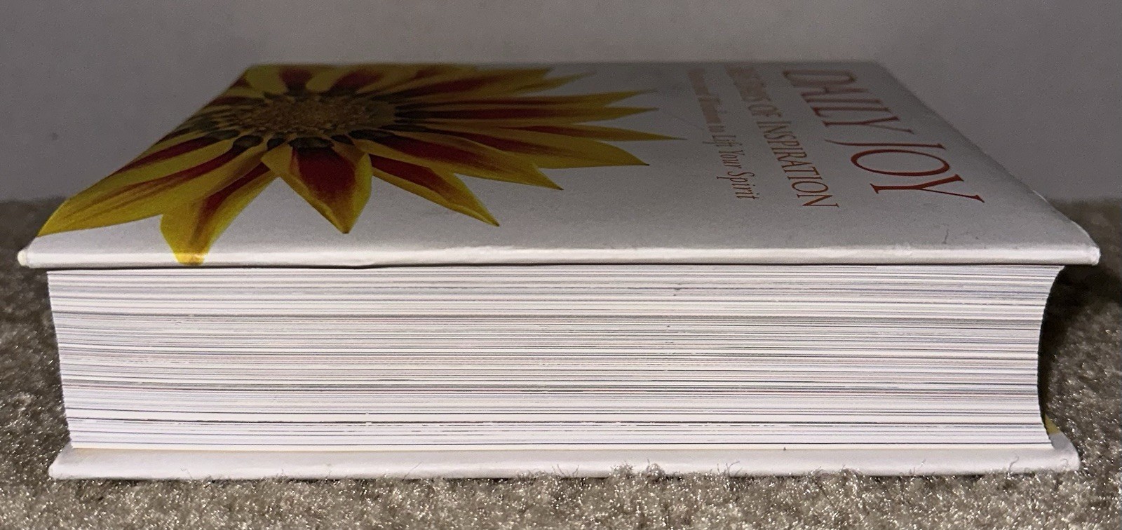 Daily Joy : 365 Days of Inspiration by National Geographic (2012, Hardcover)