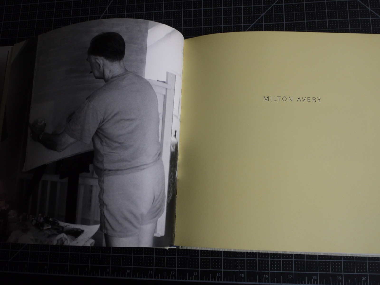 Coming to Light: Avery Gottlieb Rothko: Provincetown Summers 1957-1961 by Avery