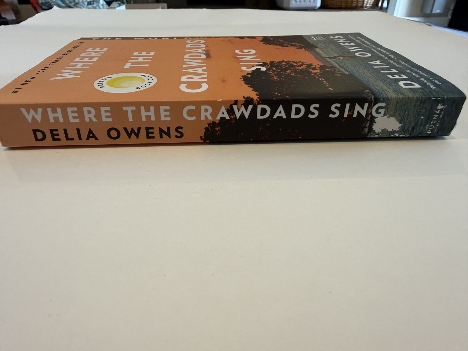 Where the Crawdads Sing – Paperback – By: Delia Owens – NEW