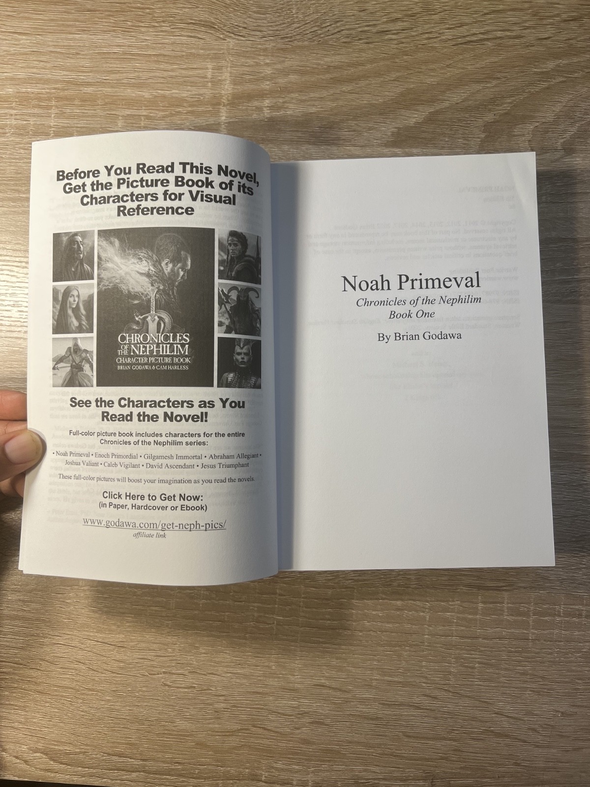 Noah Primeval Chronicles of the Nephilim Book 1 Brian Godawa 2011 Paperback Book