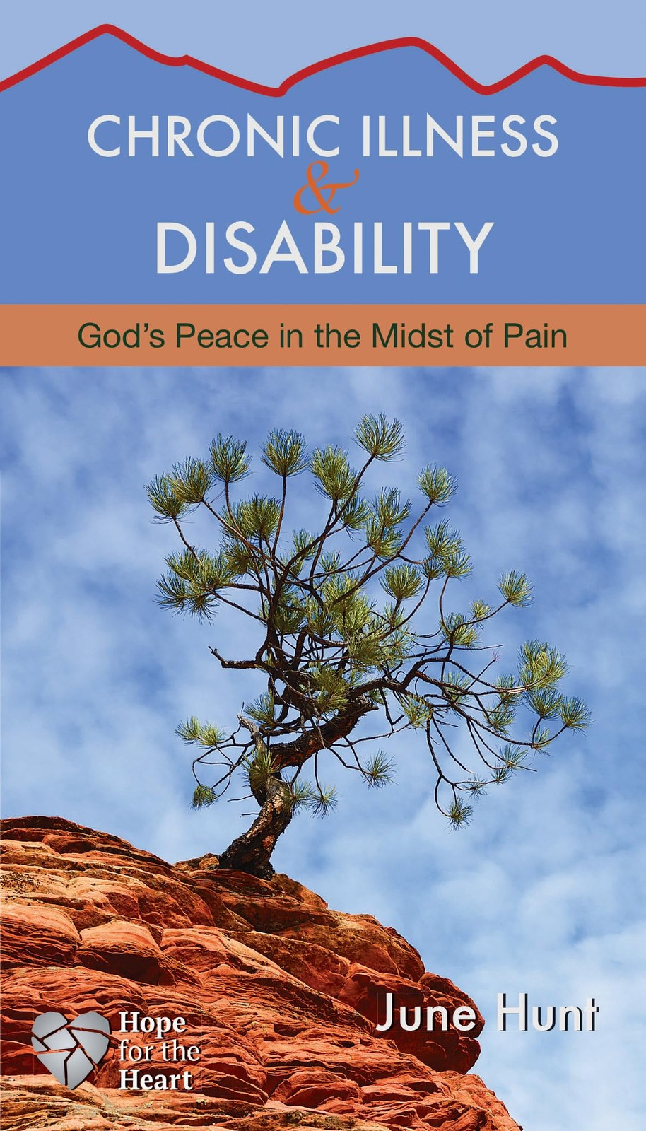 Chronic Illness and Disability: God’s Peace in the Midst of Pain (Hope for t…