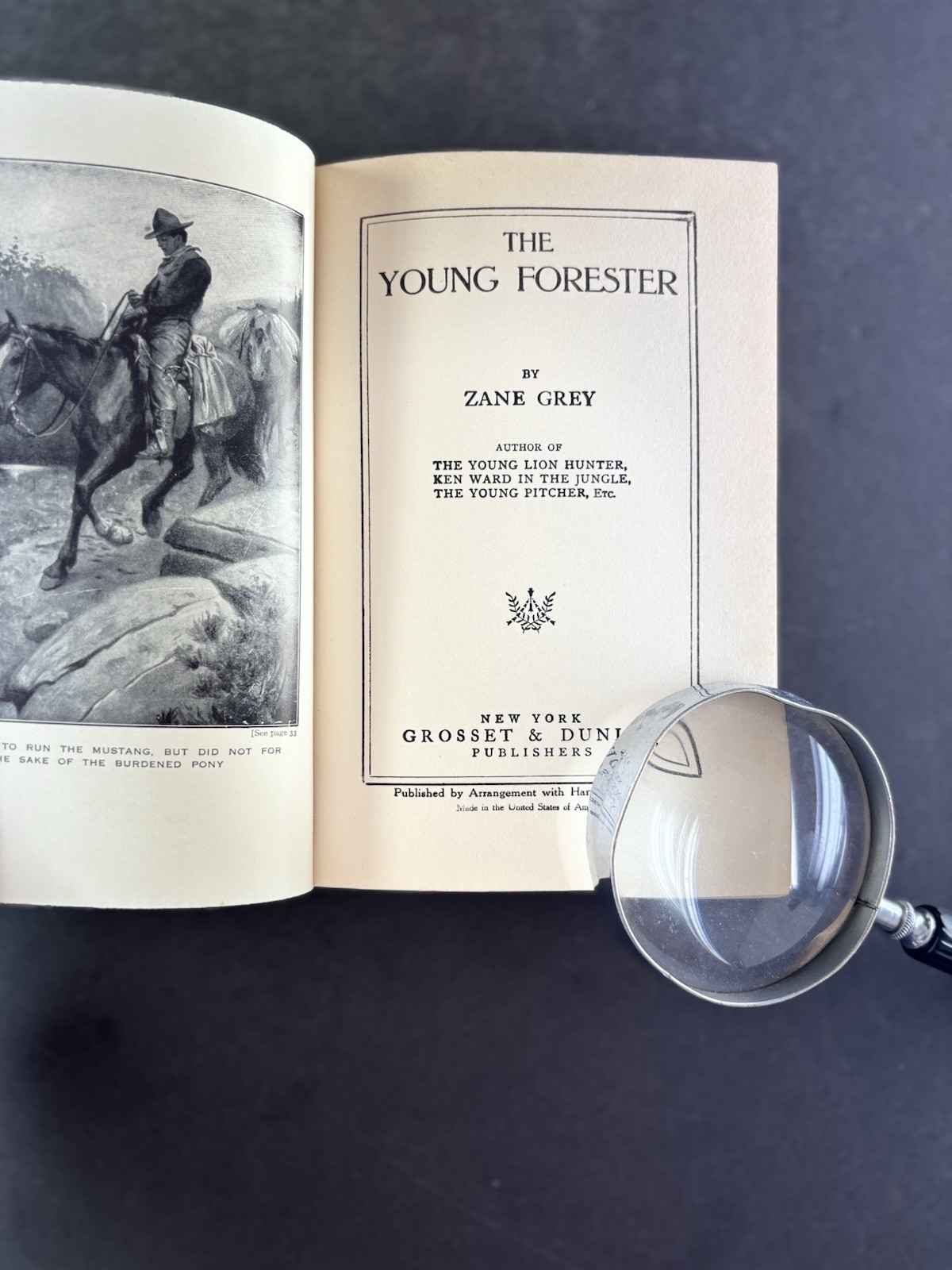 Zane Grey THE YOUNG FORESTER HC DJ Grosset Dunlap Western Adventure Book