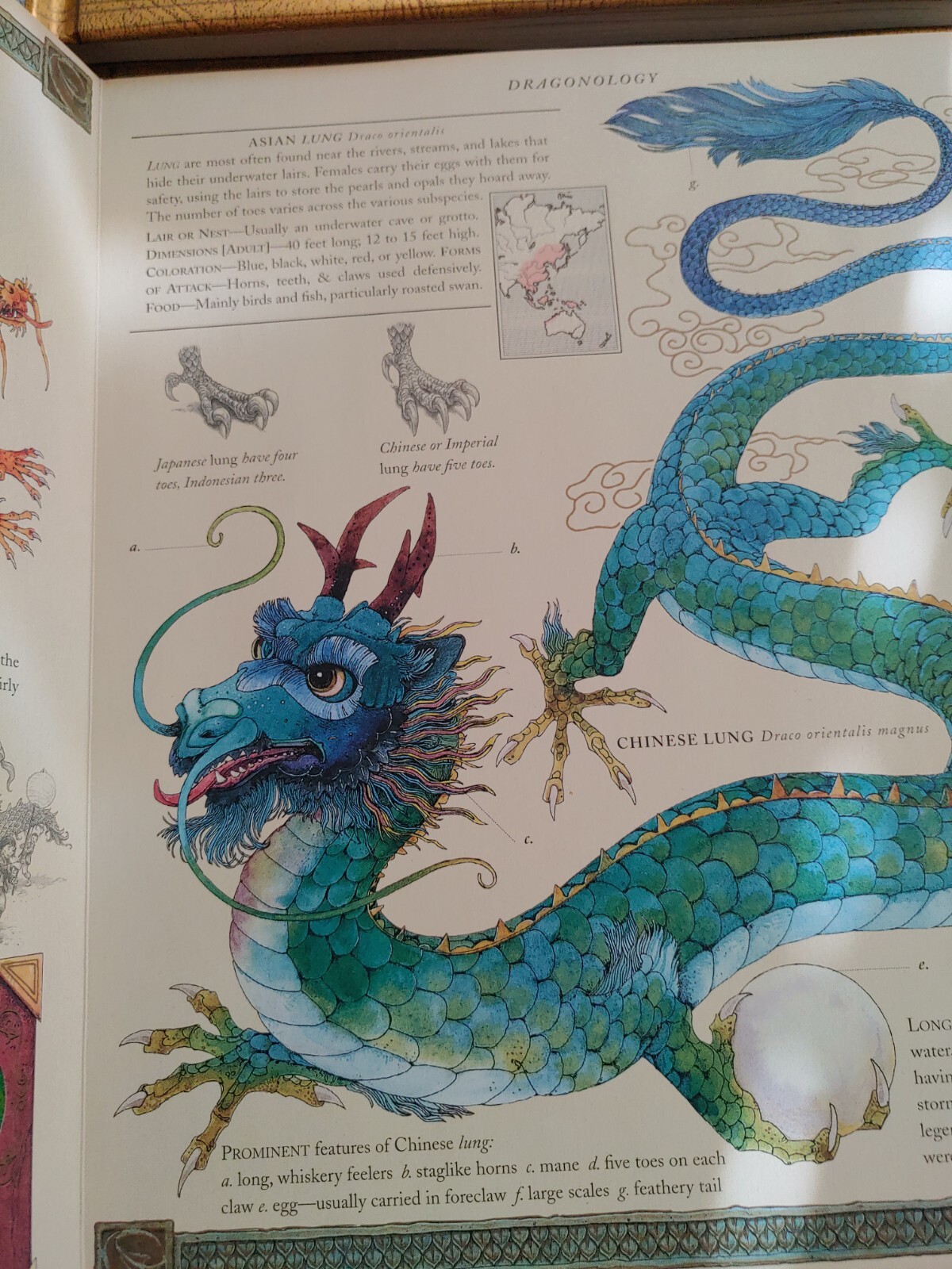 Ologies Ser.: Dragonology : The Complete Book of Dragons by Ernest Drake (2003,