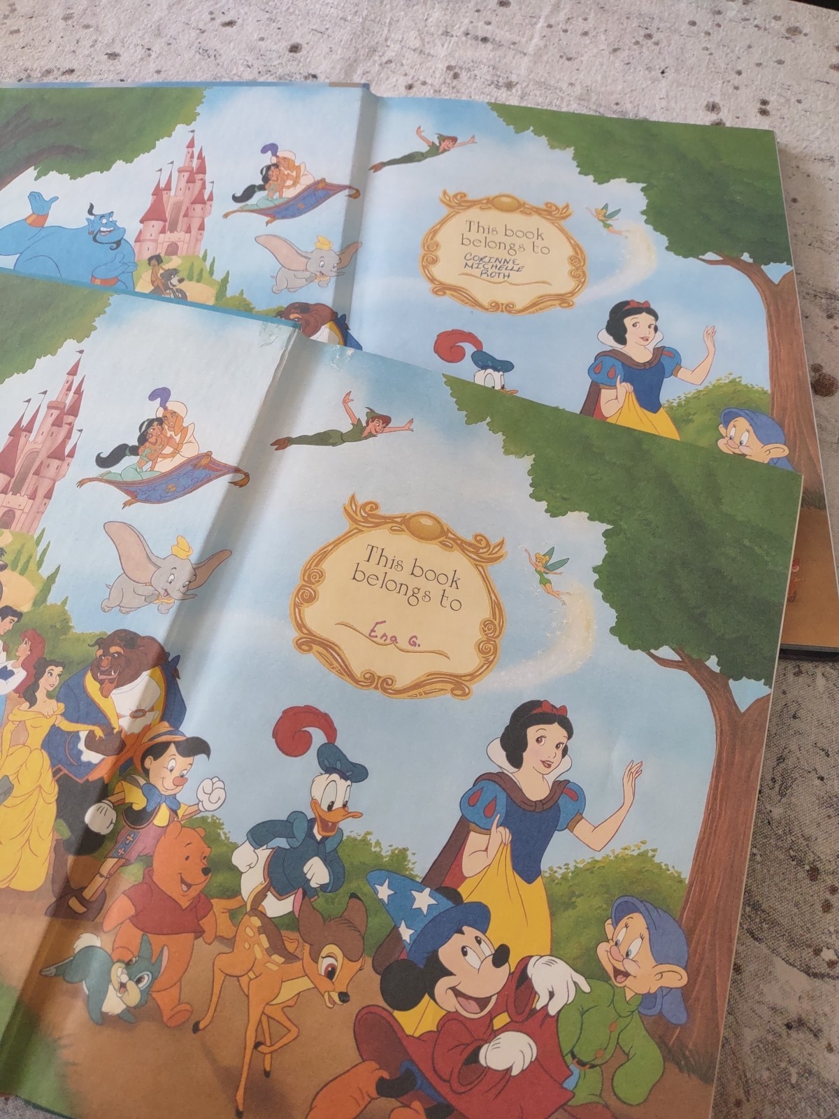 Lot of 6 Disney Princess Large Hardcover Books Gallery Twin Mouse Works Classic