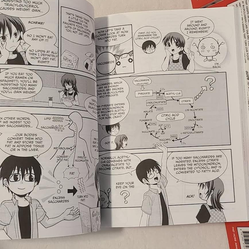 5x The Manga Guide to Biochemistry Book Lot – Takemura, Masaharu, Office Sawa K