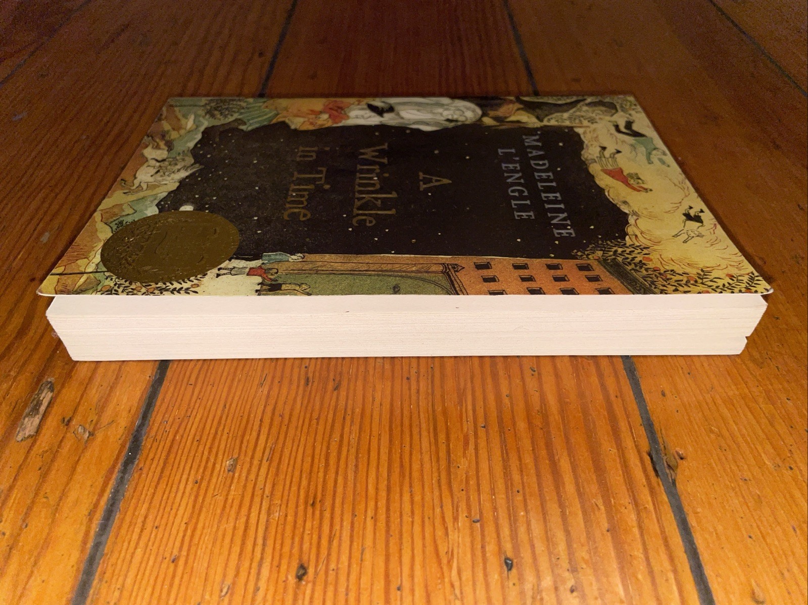 A Wrinkle In Time by Madaleine L’Engle (2007 Square Fish Trade Paperback)