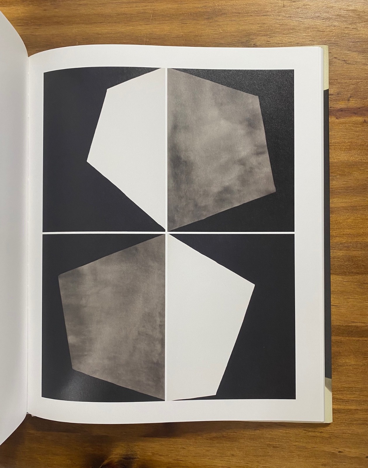 Alison Rossiter Expired Paper First 1st Edition Hardcover Radius Yossi Milo 2017