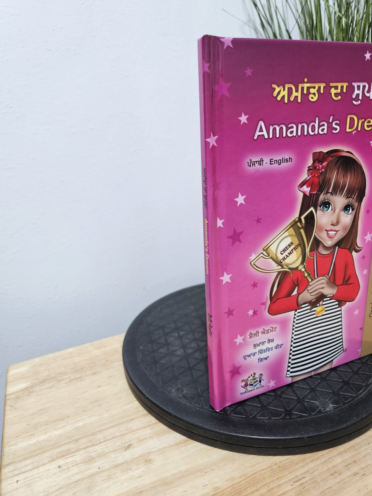 Amanda’s Dream (Punjabi English Bilingual Kids‘ Book – Gurmukhi) Hardcover